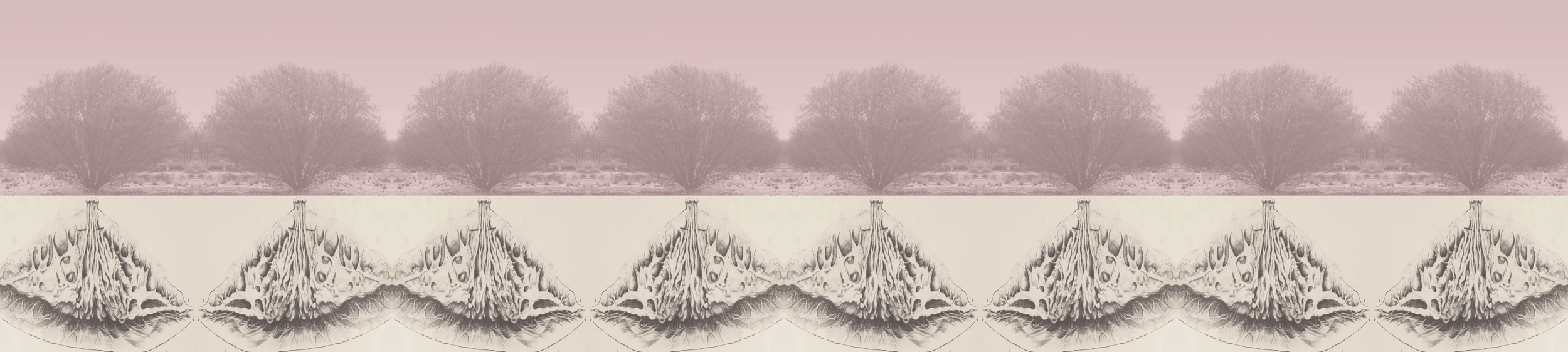 Self Portrait as landscape, 2014-2016
