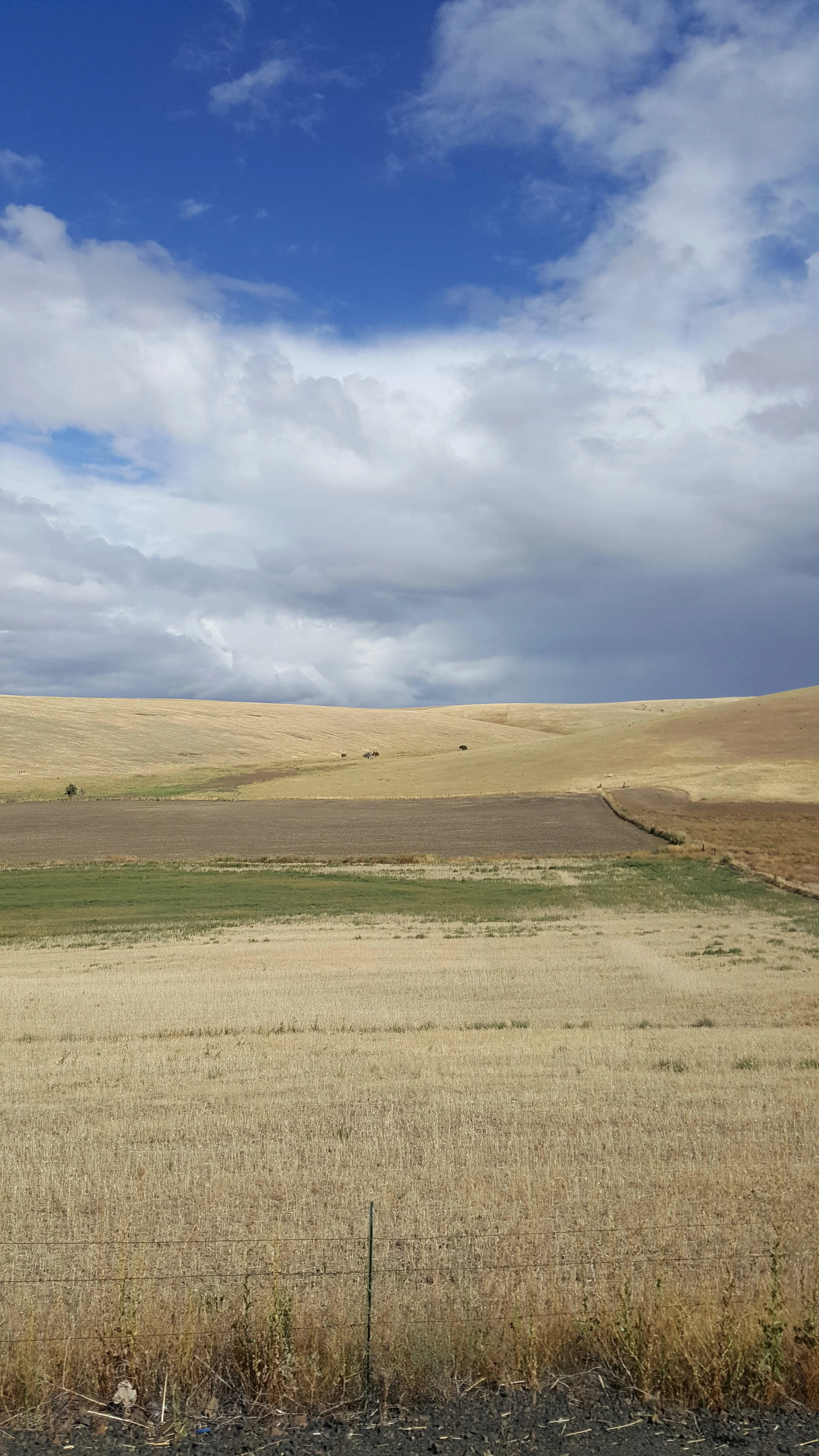 Summer 2019 Mayville 3.jpg