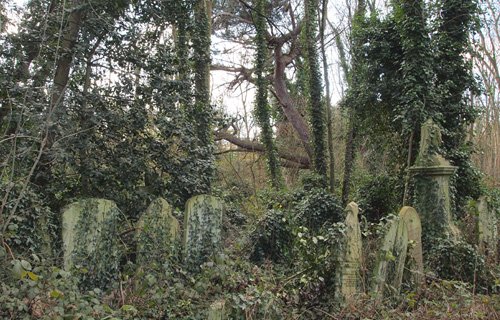 abney-unearthed.jpg