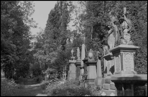 APUG Abney Litter Pick