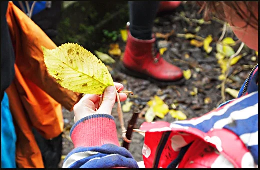 February Half-Term Forest School