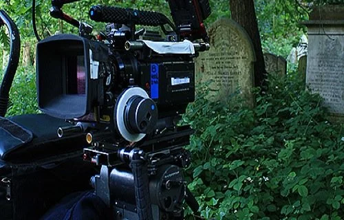 Abney Park Closure on 29 August