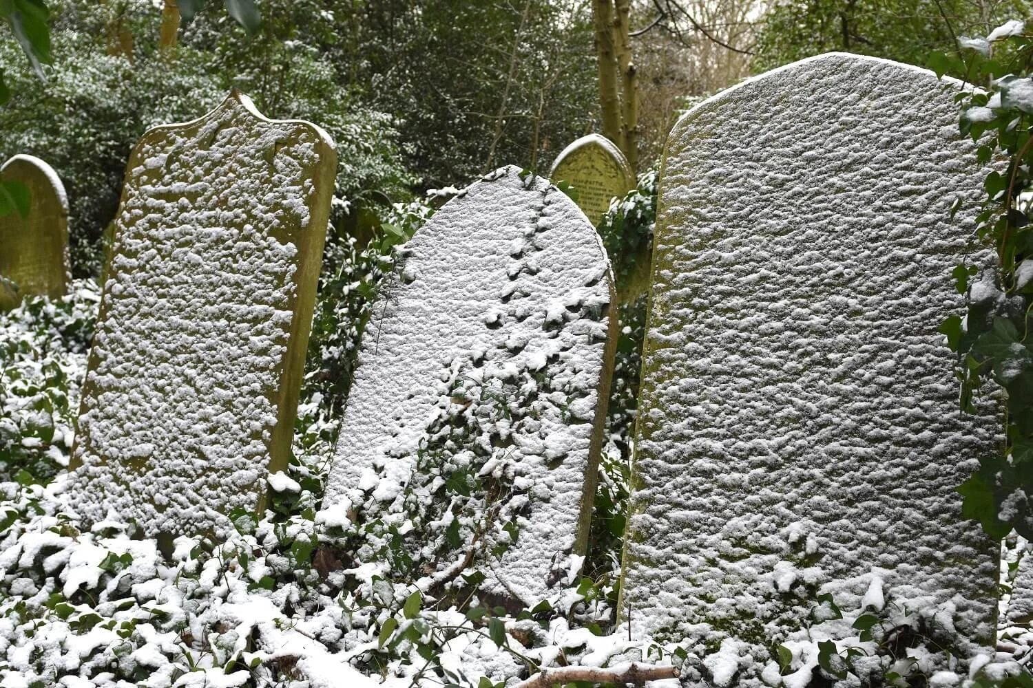Visiting Information — Abney Park