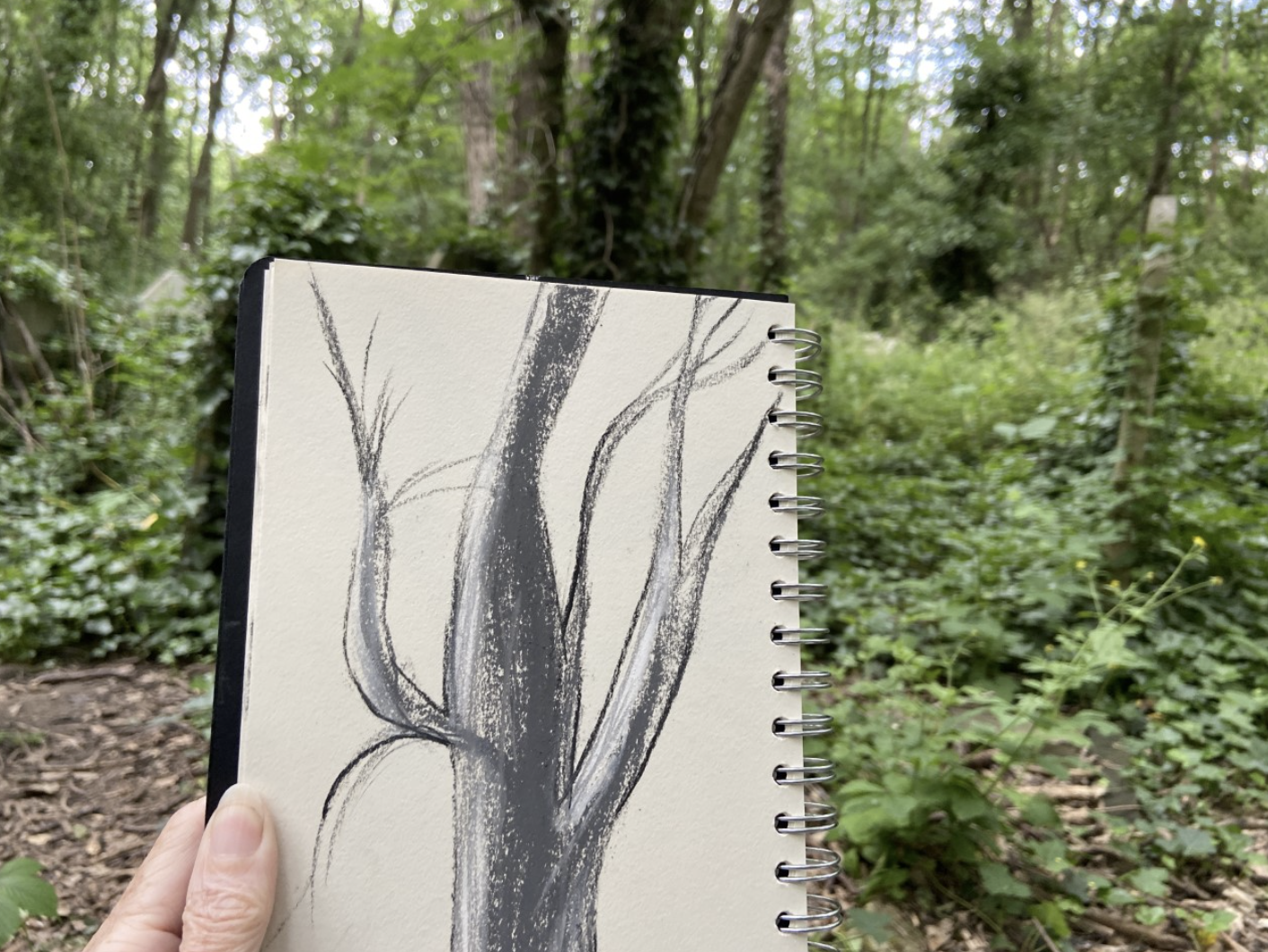 And Breathe… a mindful markmaking workshop in Abney Park