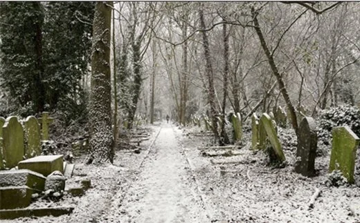 After The Ball - A guided tour of Abney's Music Hall Muses