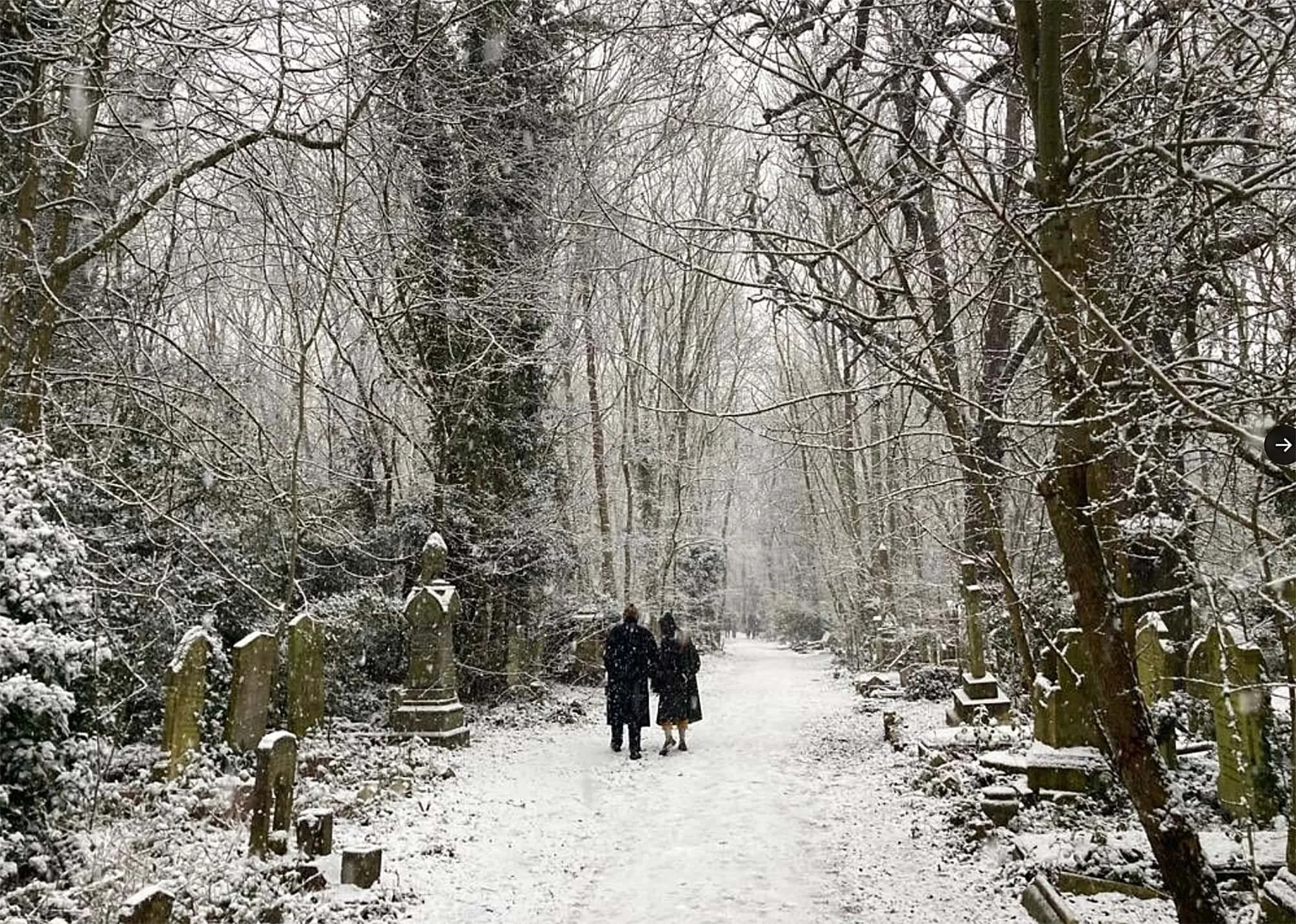 Winter scene at Abney Park