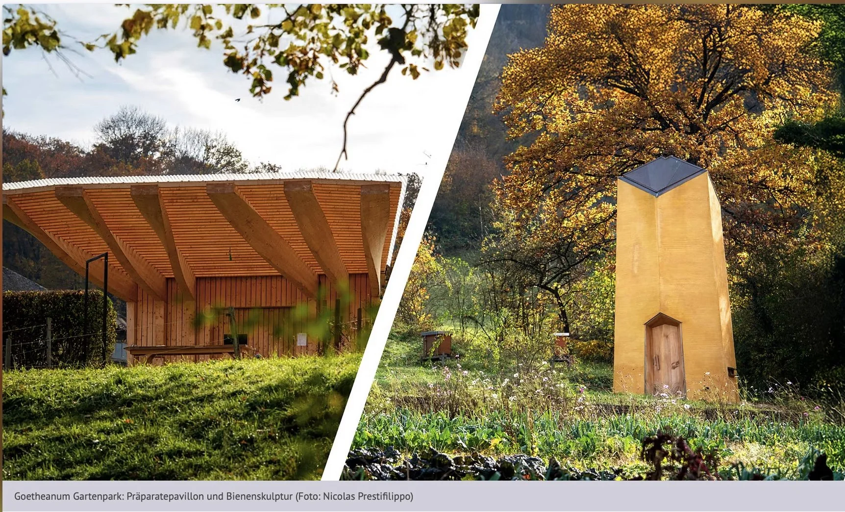 Konservatorische Beratung: Präparatepavillon / Aquarelle von Walpurga Ganz, Deckputz der Bienenskulptur