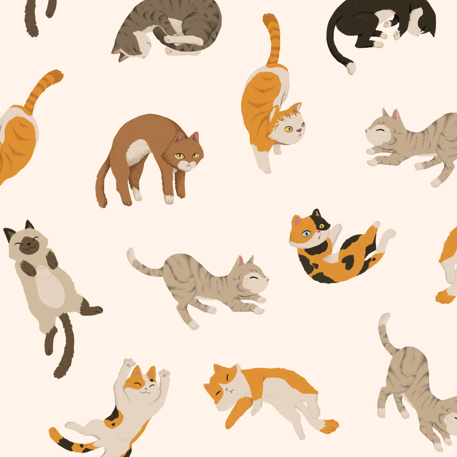 Cats