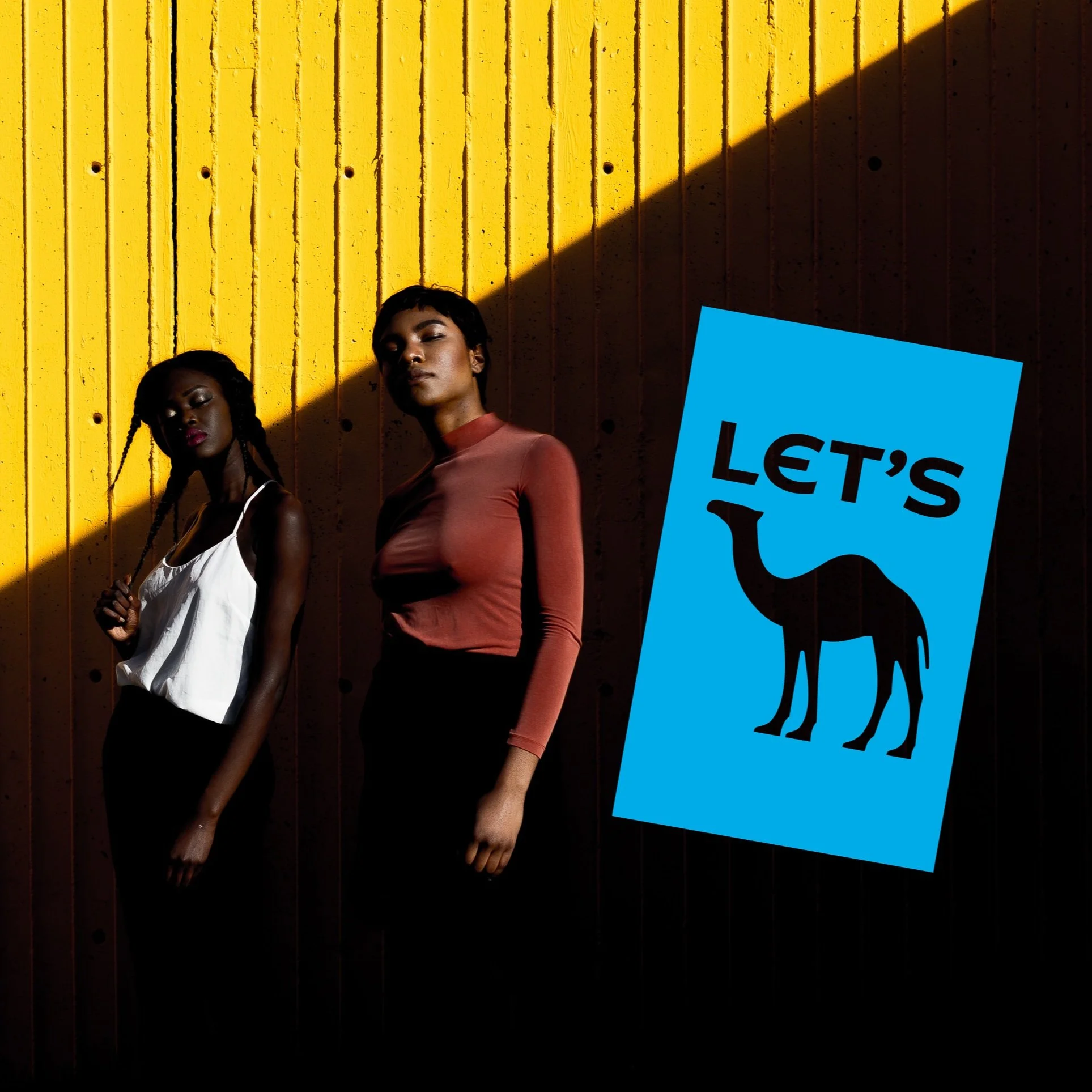 let's Camel.jpg