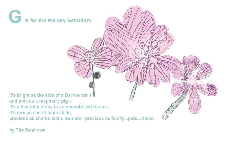 g-is-for-geranium.jpg