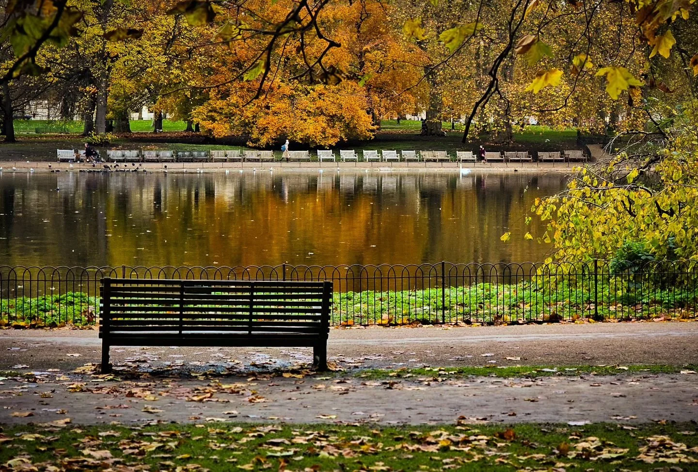 Autumn Series

#trees #park #light #colour #autumn #water #reflection #bench #scene #leaves🍁