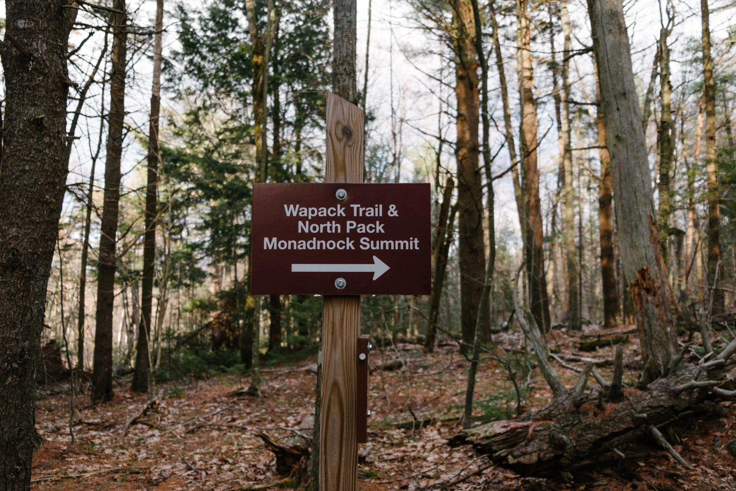 DSCF9065.jpg