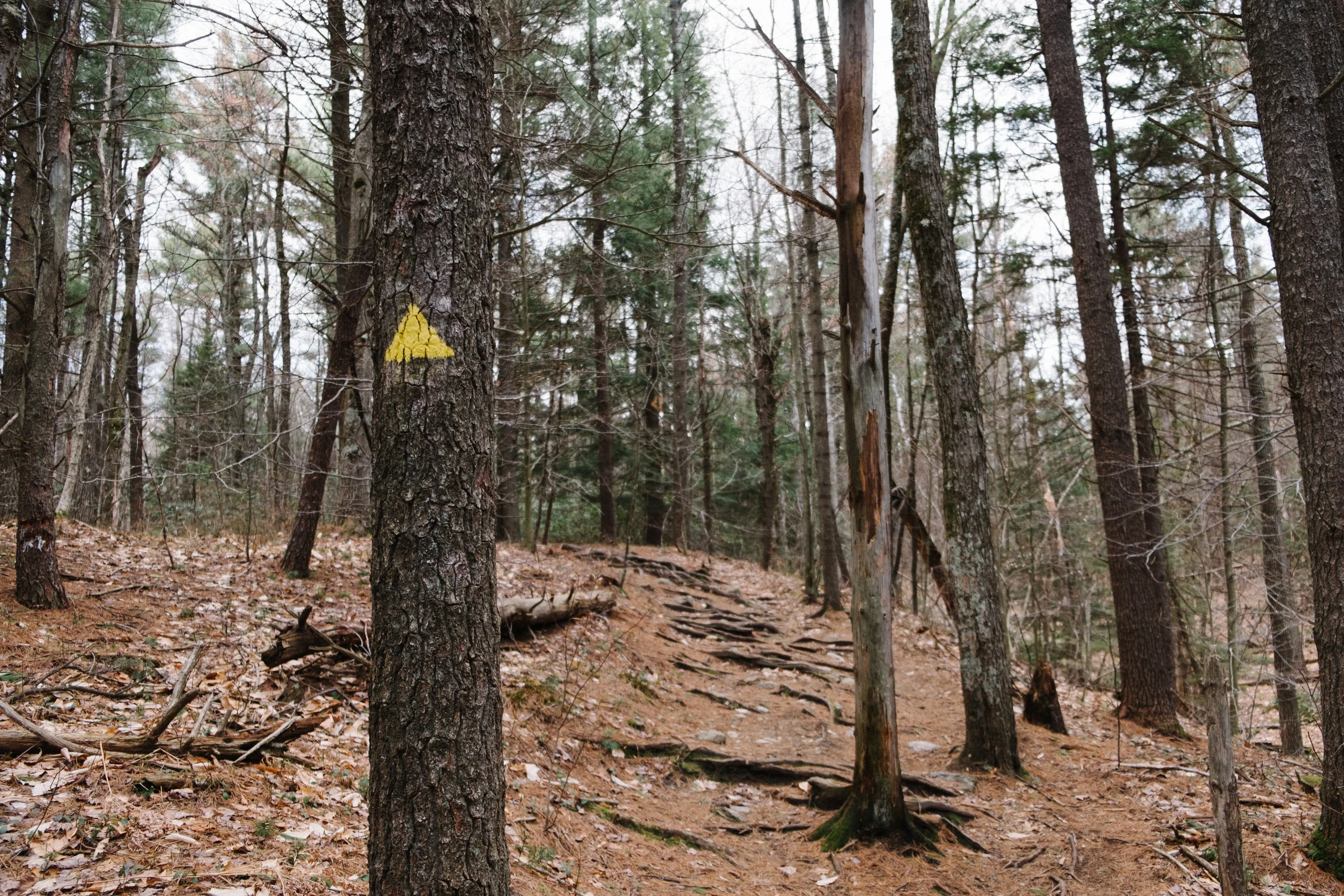 DSCF9090.jpg