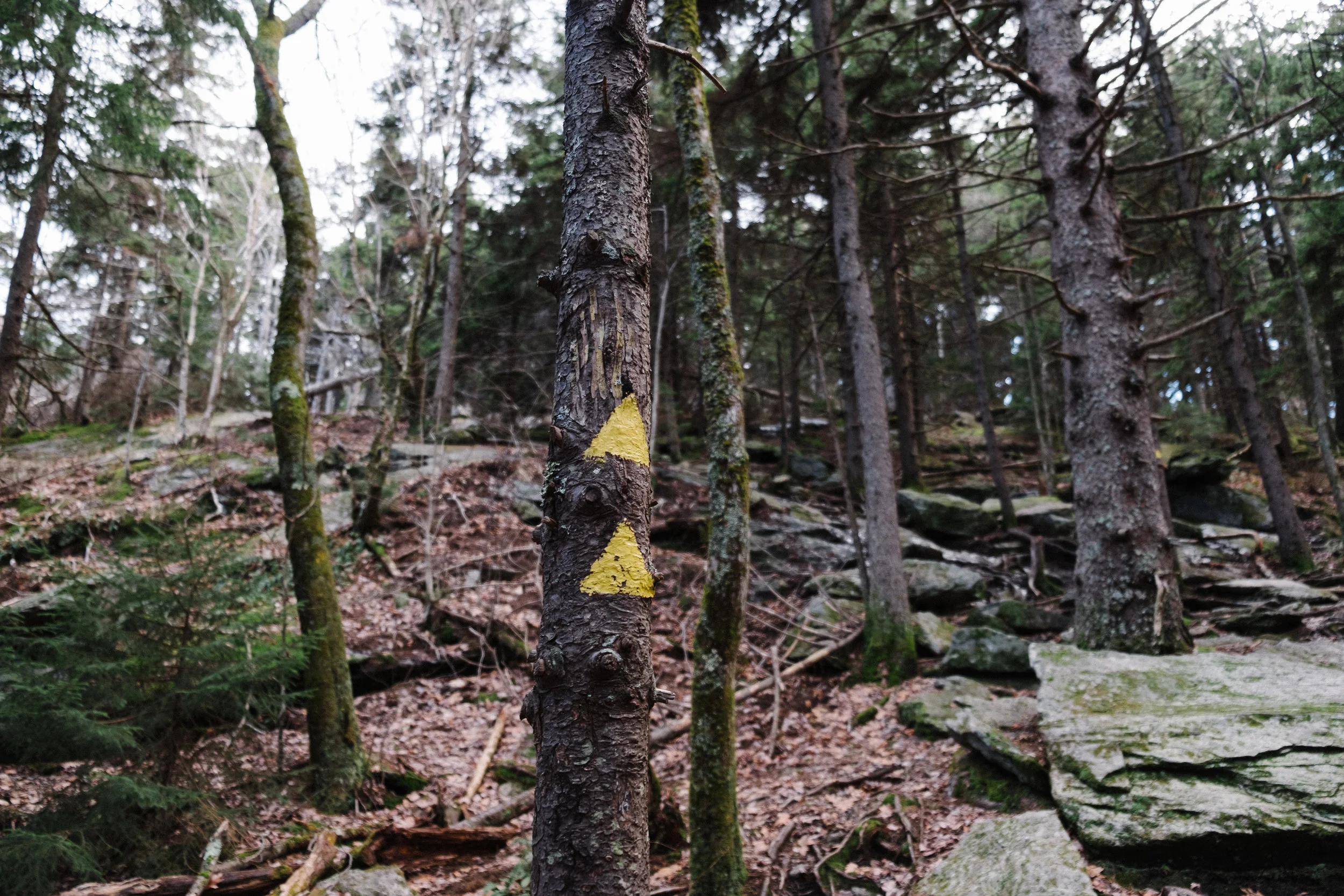 DSCF9145.jpg