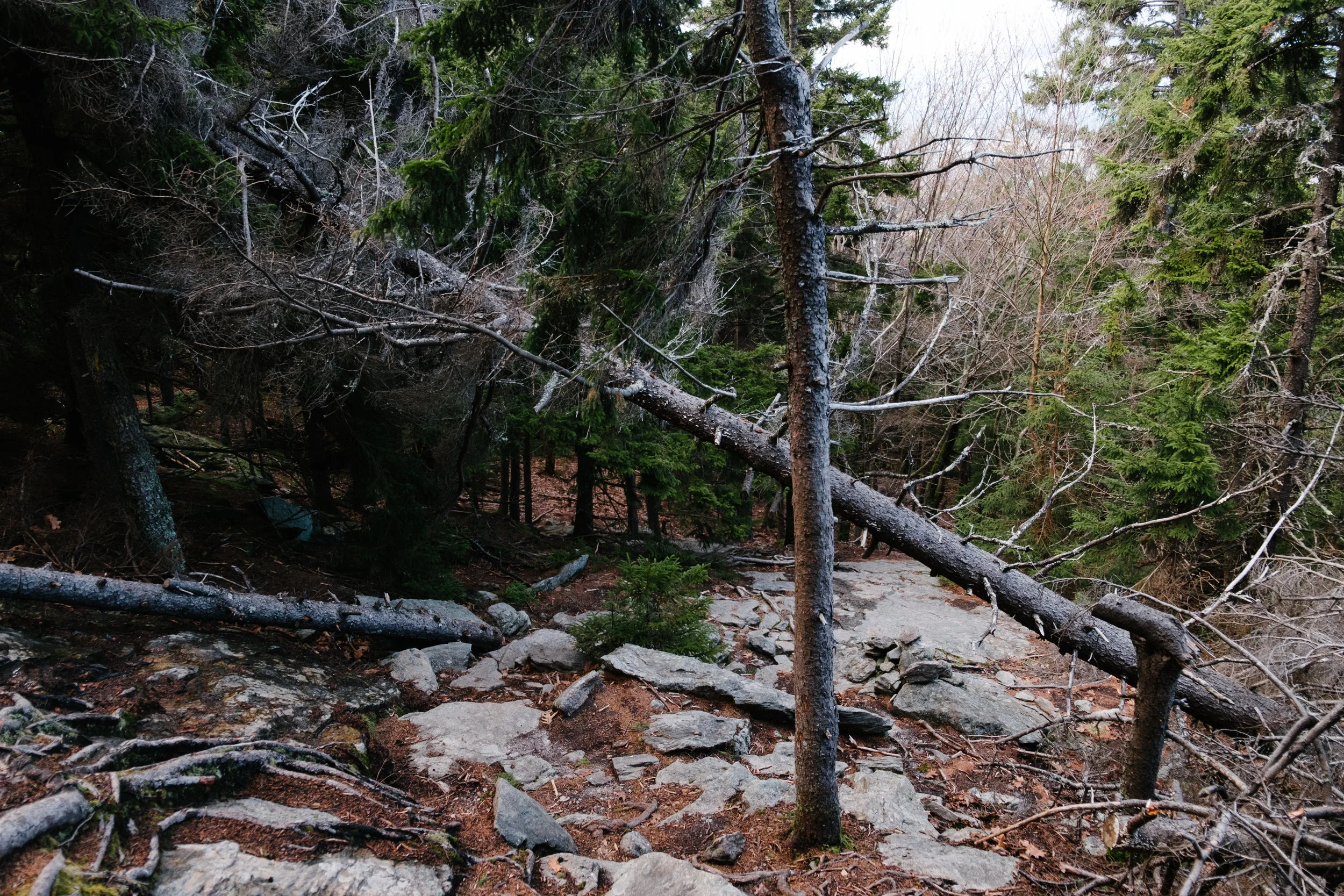 DSCF9148.jpg