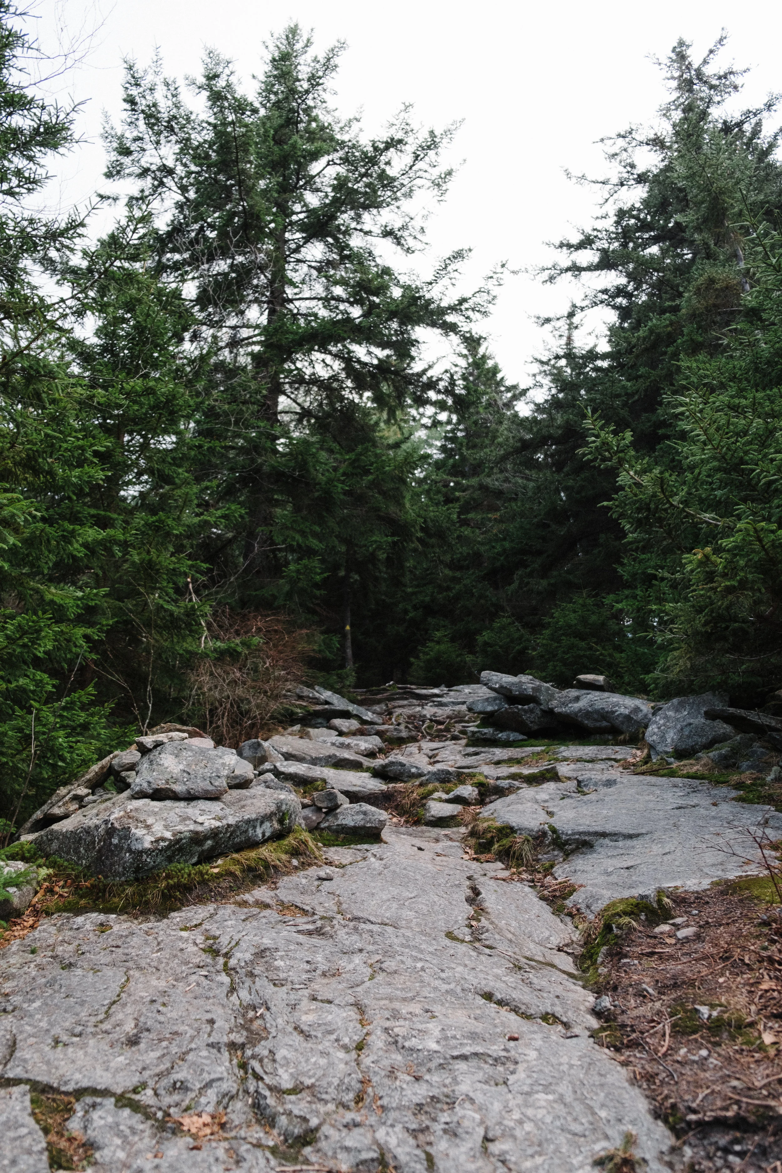 DSCF9150.jpg