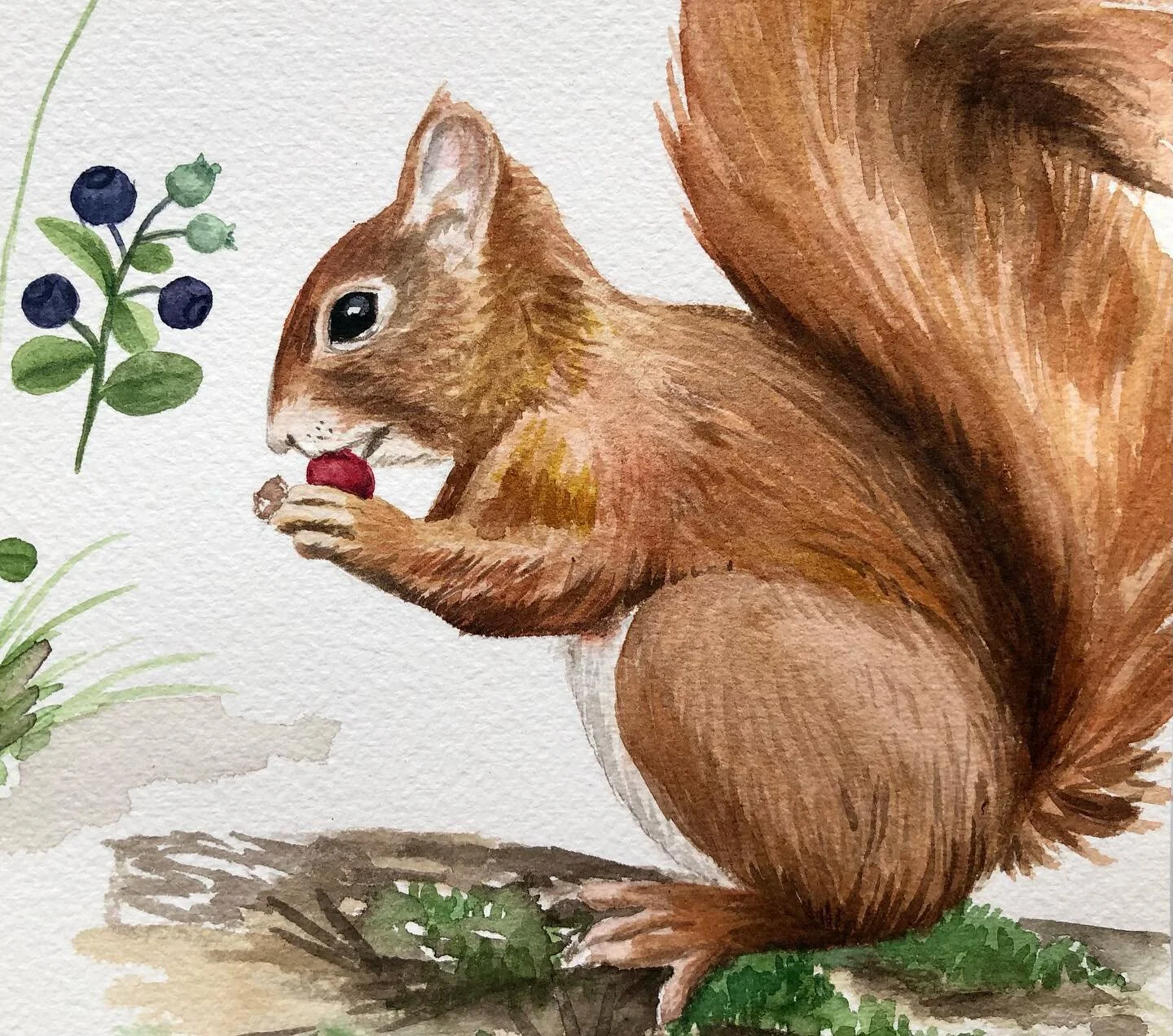 Some new greeting card motifs have been in the making with this little squirrel and lots of moss, berries, flowers and twigs. Swipe to see more -> 
Painting late at night (that’s been the only quiet time during the school holidays👀) has bee