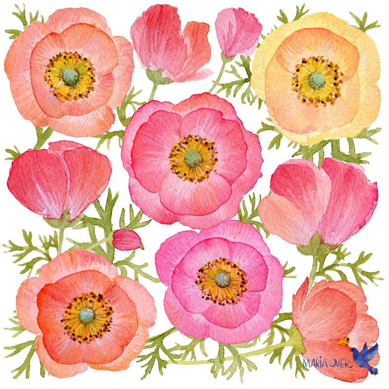 MariaOver-pink-poppies-ppd-SS2024-web-small.jpg