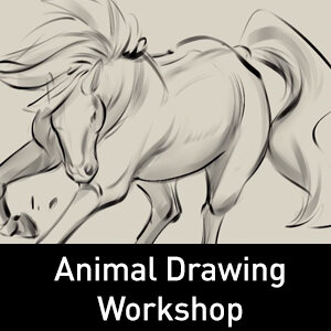 Learn to draw horses 90min