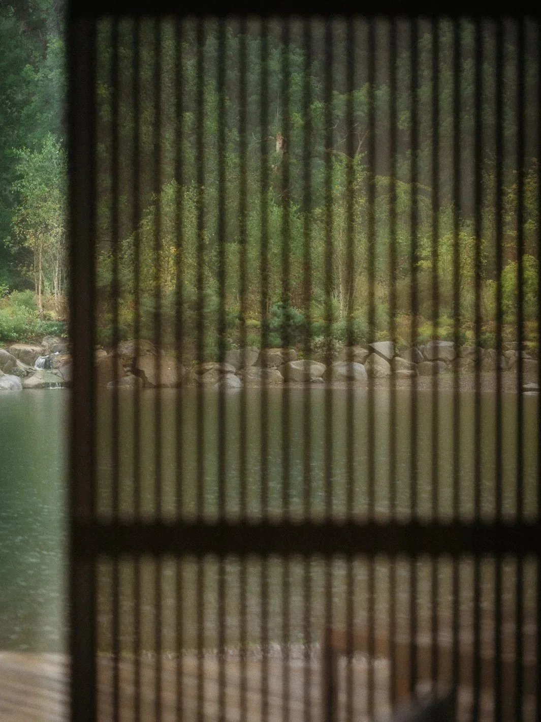View of a river or pond through a traditional Japanese shoji screen, with lush green trees and rocks in the background.