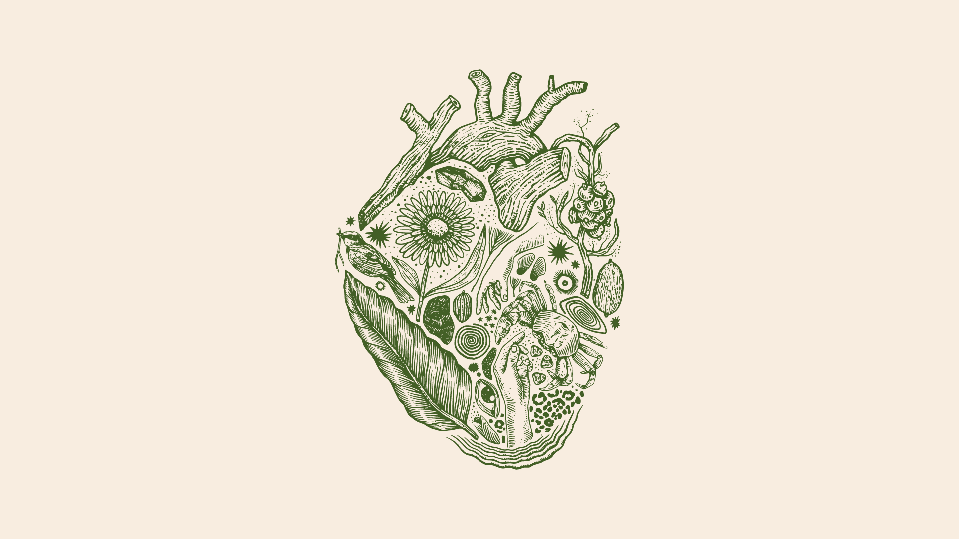 AR_Greenpeace_Behance_01-3.png