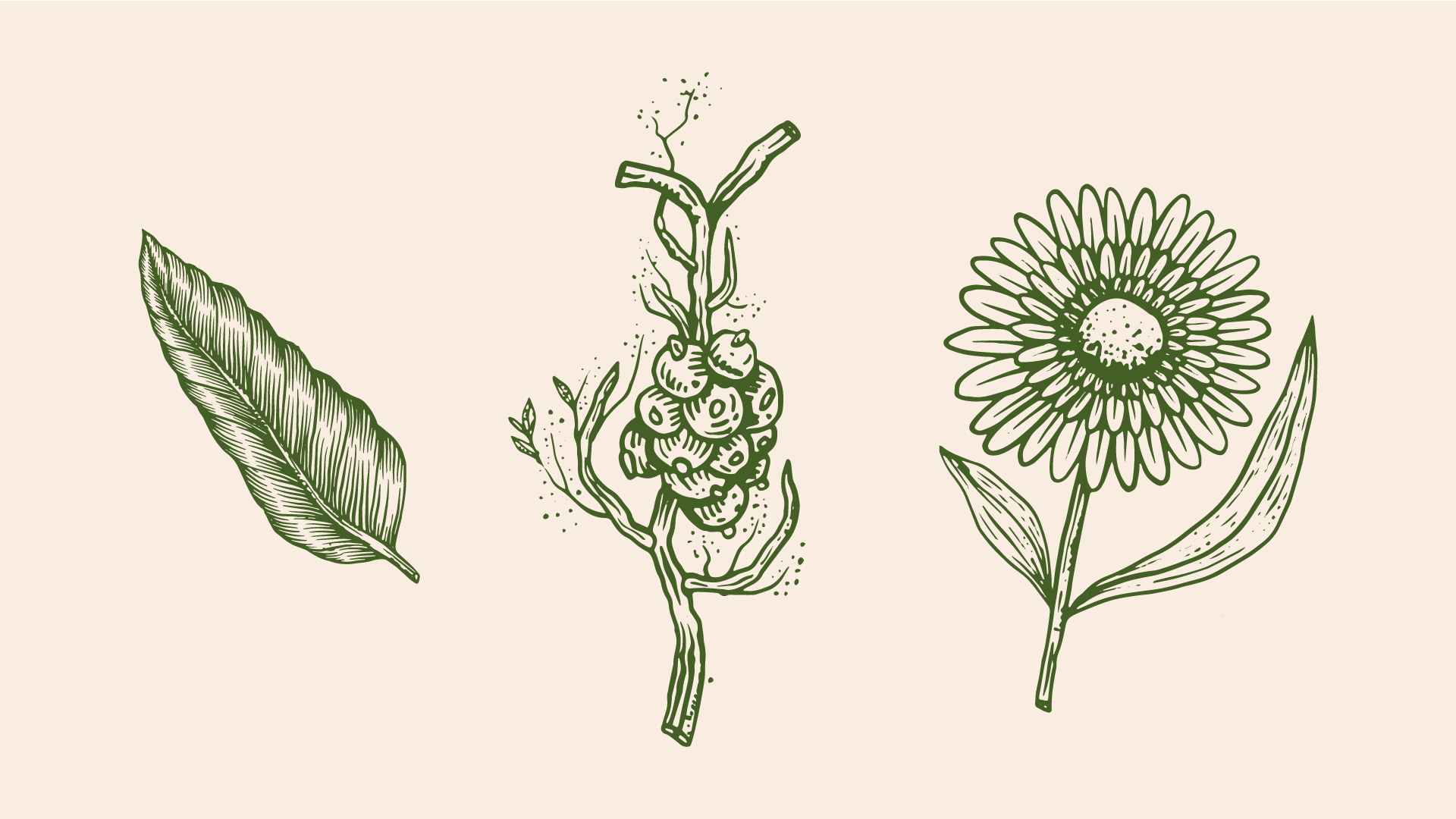 AR_Greenpeace_Behance_01-8.png
