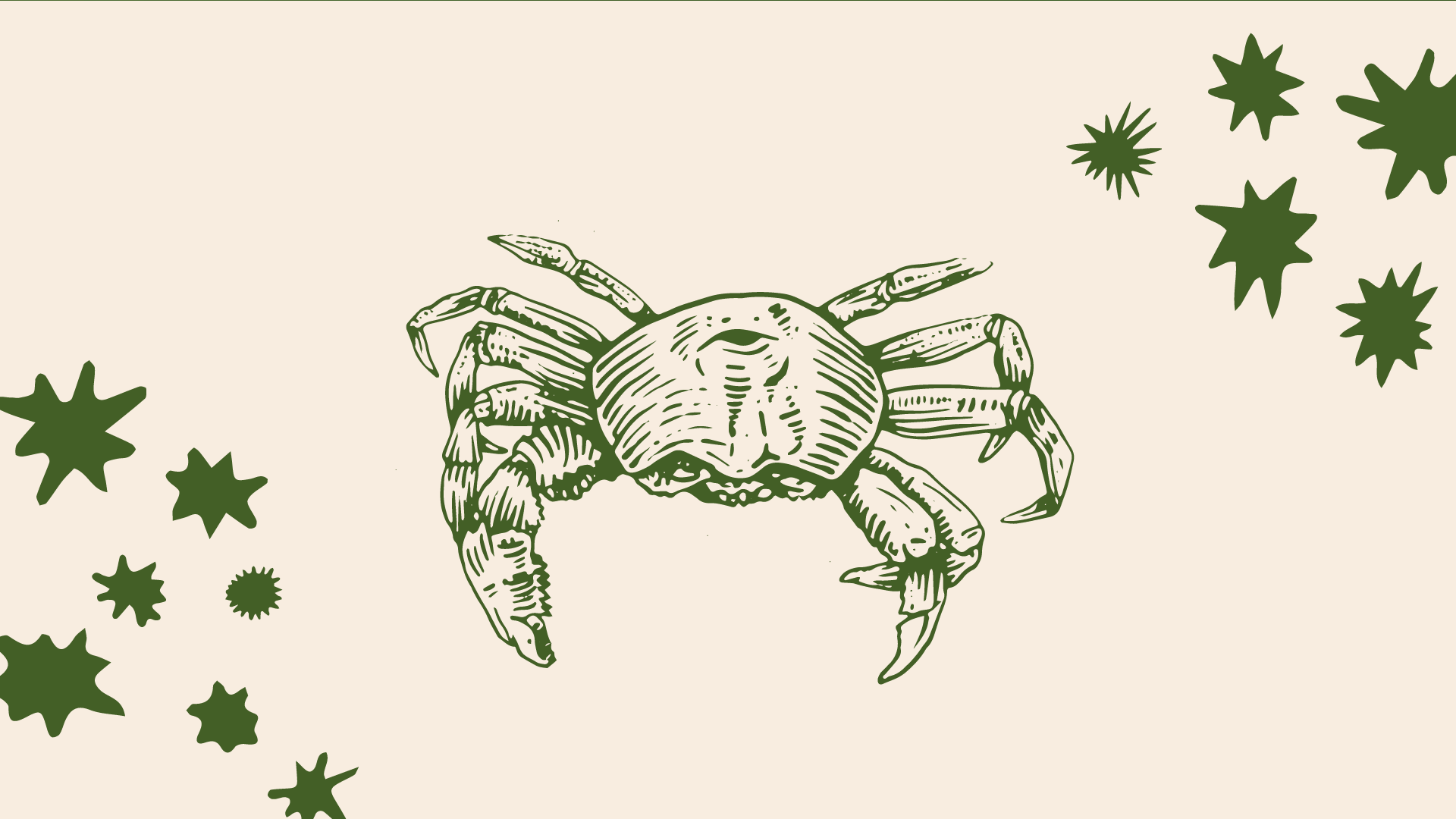 AR_Greenpeace_Behance_01-10.png