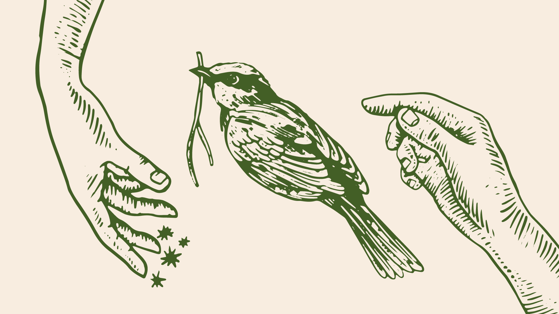 AR_Greenpeace_Behance_01-12.png