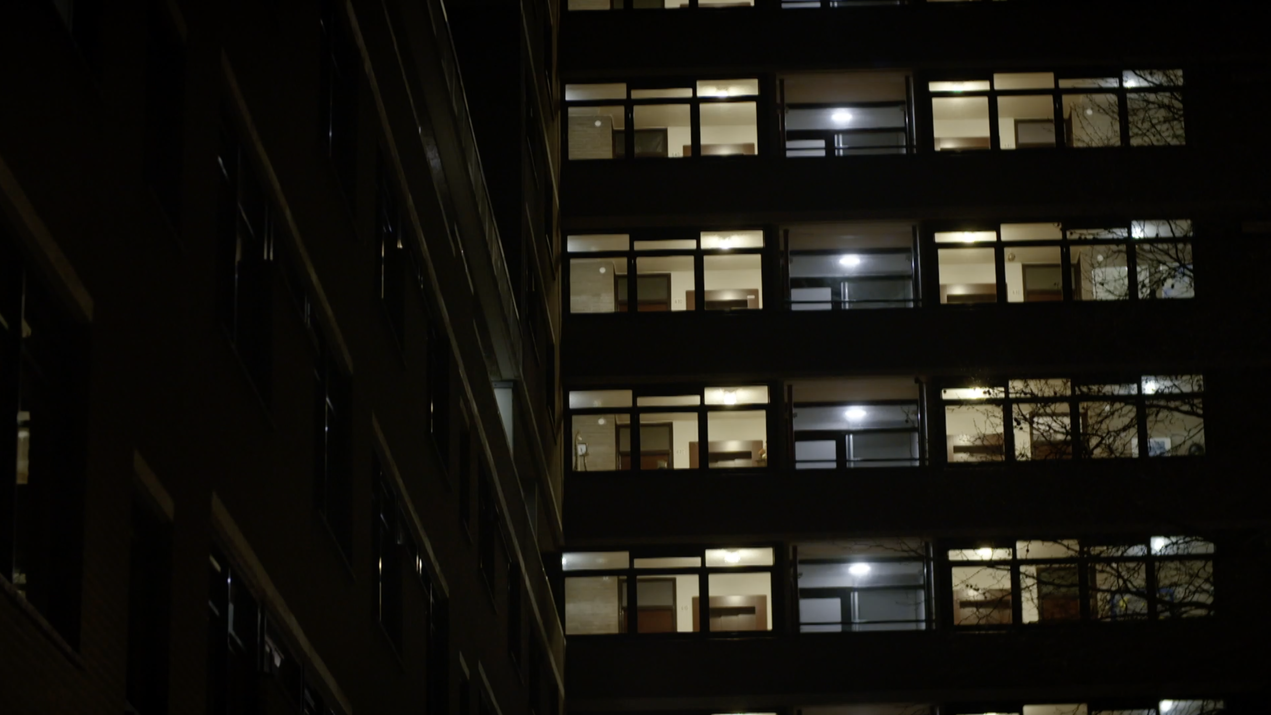 Screen Shot 2019-08-15 at 3.11.05 PM.png