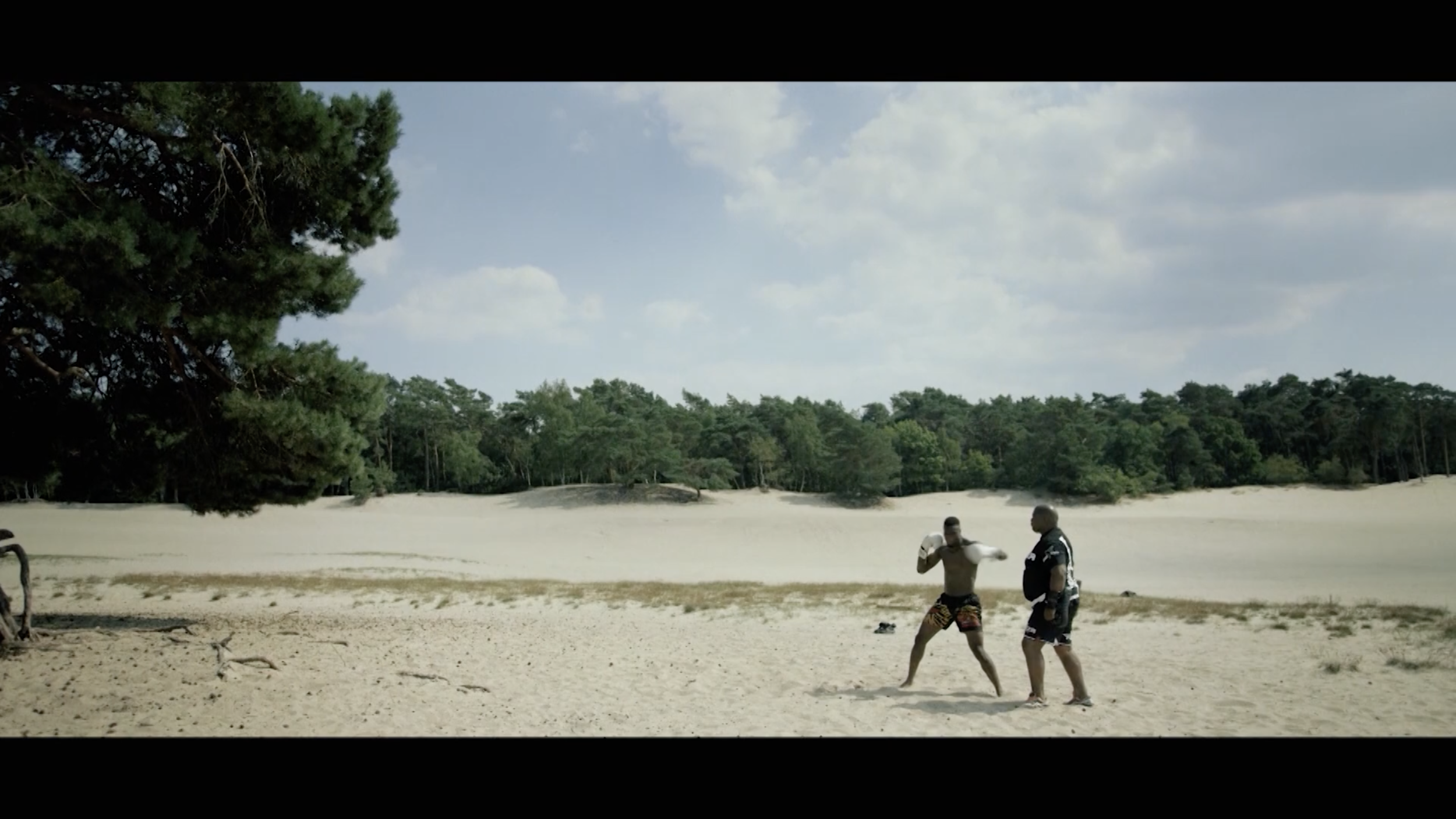 Screen Shot 2019-08-15 at 7.12.40 PM.png