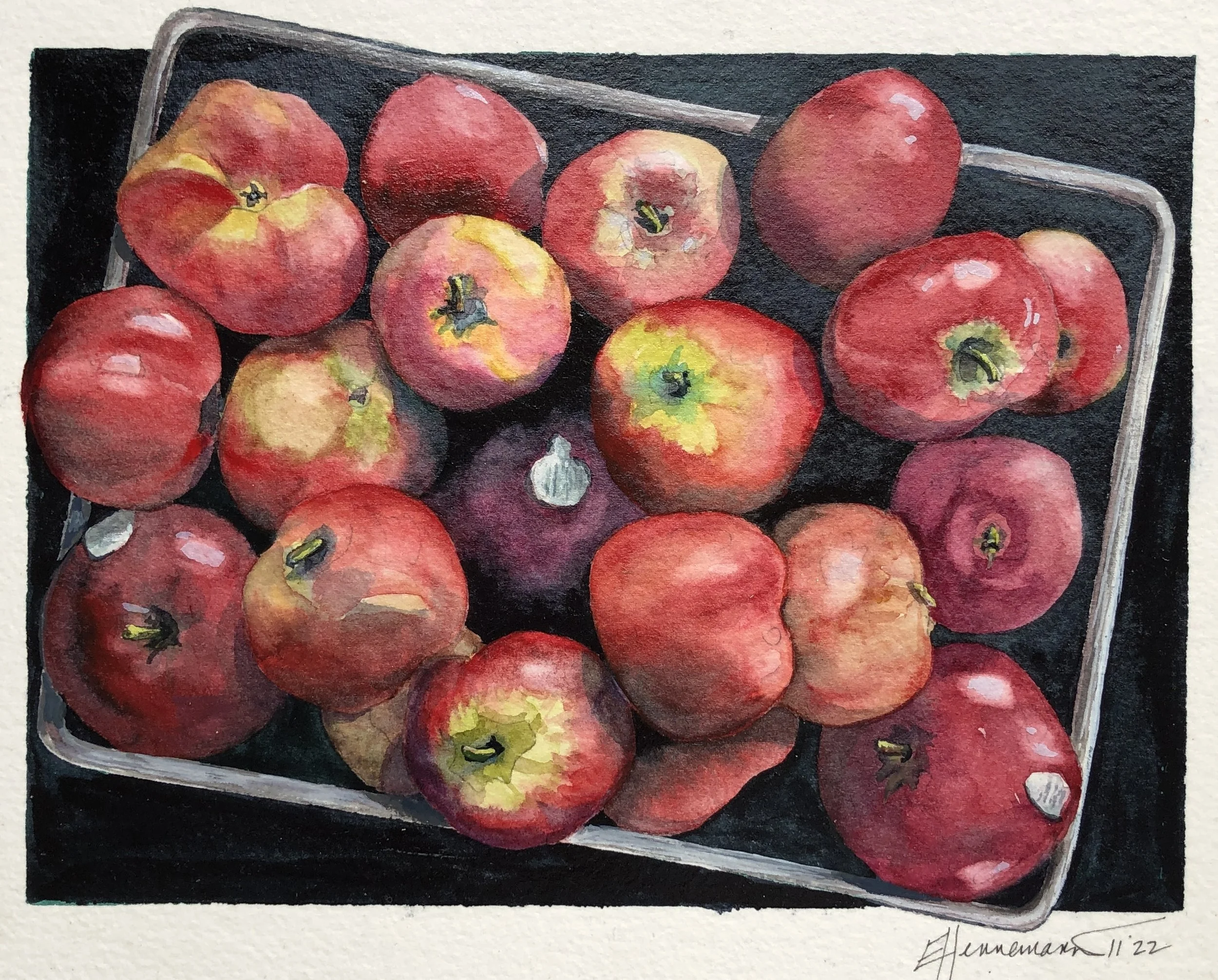 Pan of Apples • 9.5" x 12" • Watercolour • 300lb Arches on ¼” Hardboard • Varnished • SOLD