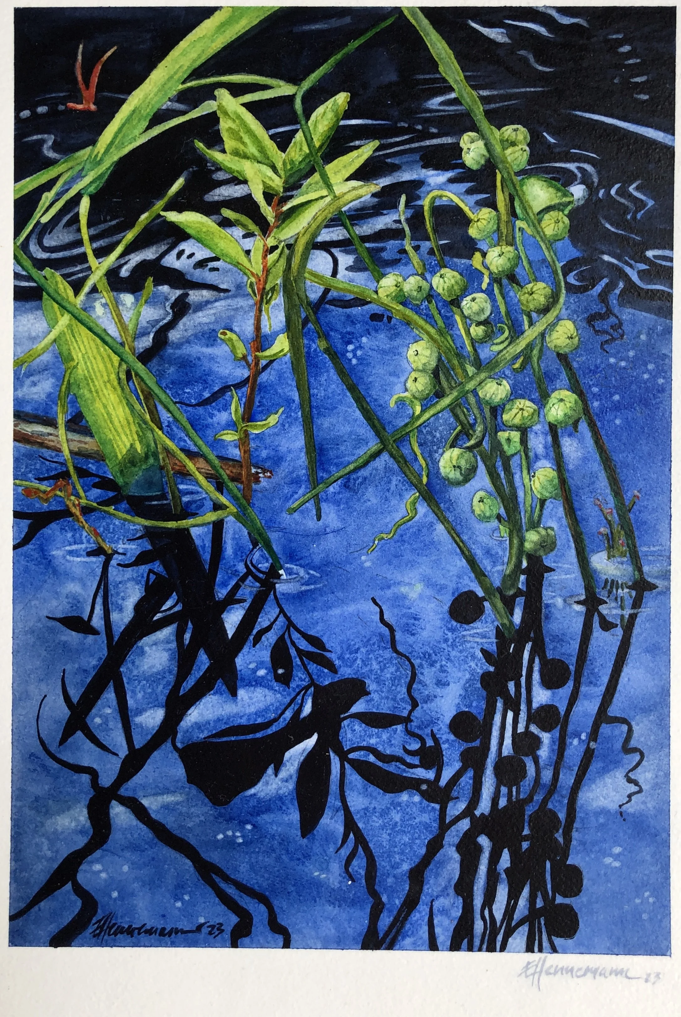  Reflections I • 12” x 16” • Watercolour • 300lb Arches on ¼” Hardboard • Varnished • $395 