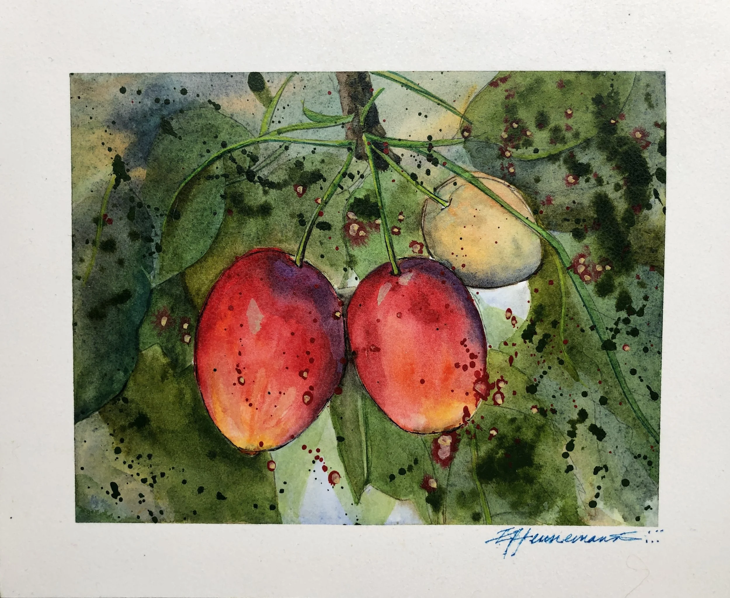 Crabapples • 6" x 6"• Watercolour • 300lb Arches on ¼” Hardboard • Varnished • SOLD