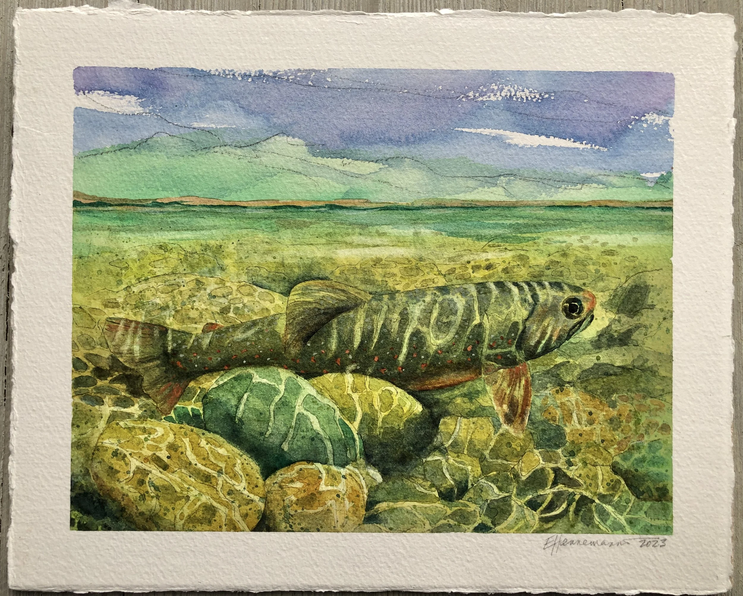  36. Reflections on Fish / Watercolour / Mounted on Hardboard / Varnished / 9” x 11.25” /  $300 