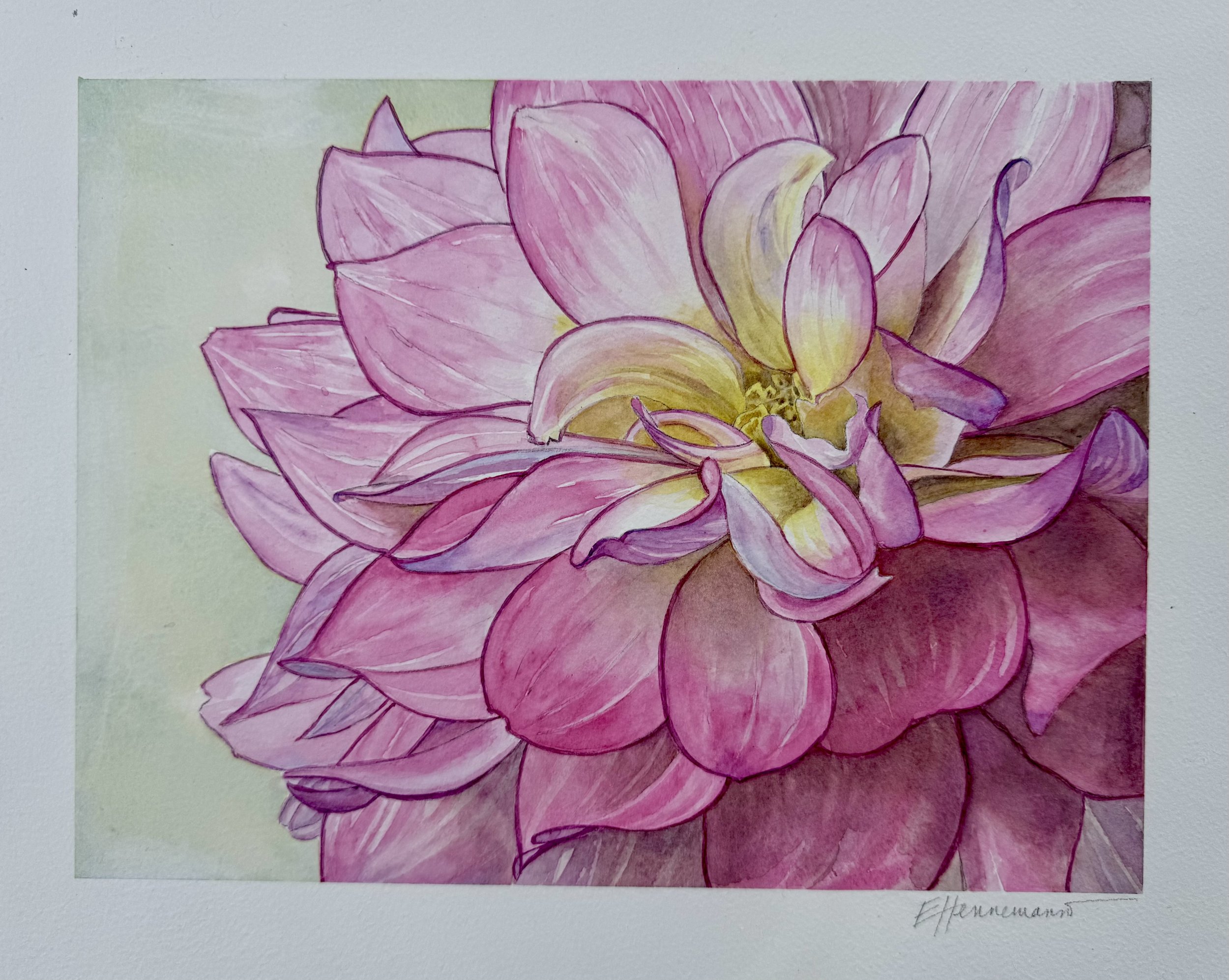 Dahlia 2025