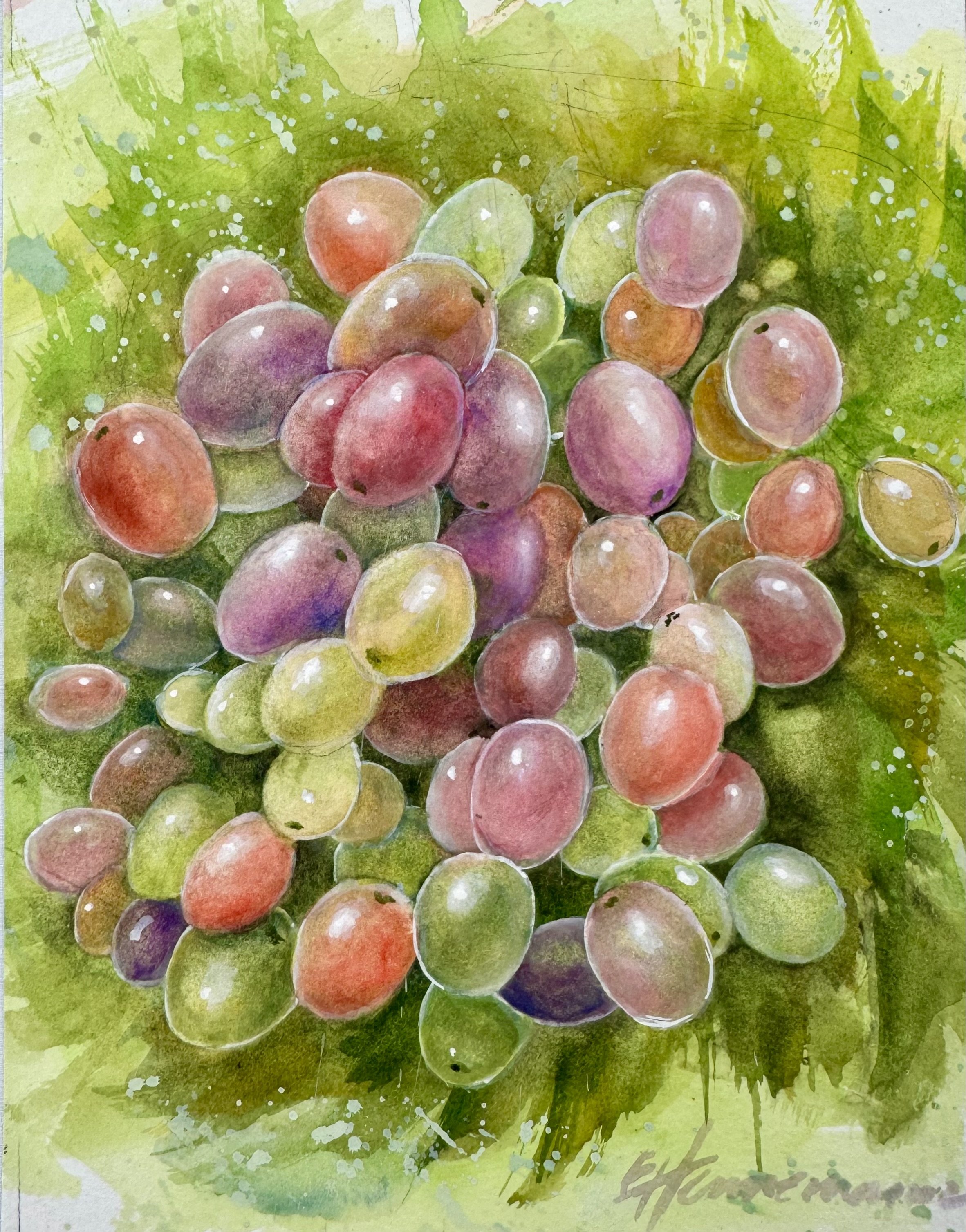 Głowy Grapes 2025 7.25” x 9.5” Watercolour, 140lb Arches paper mounted and varnished on tempered hardboard. $115