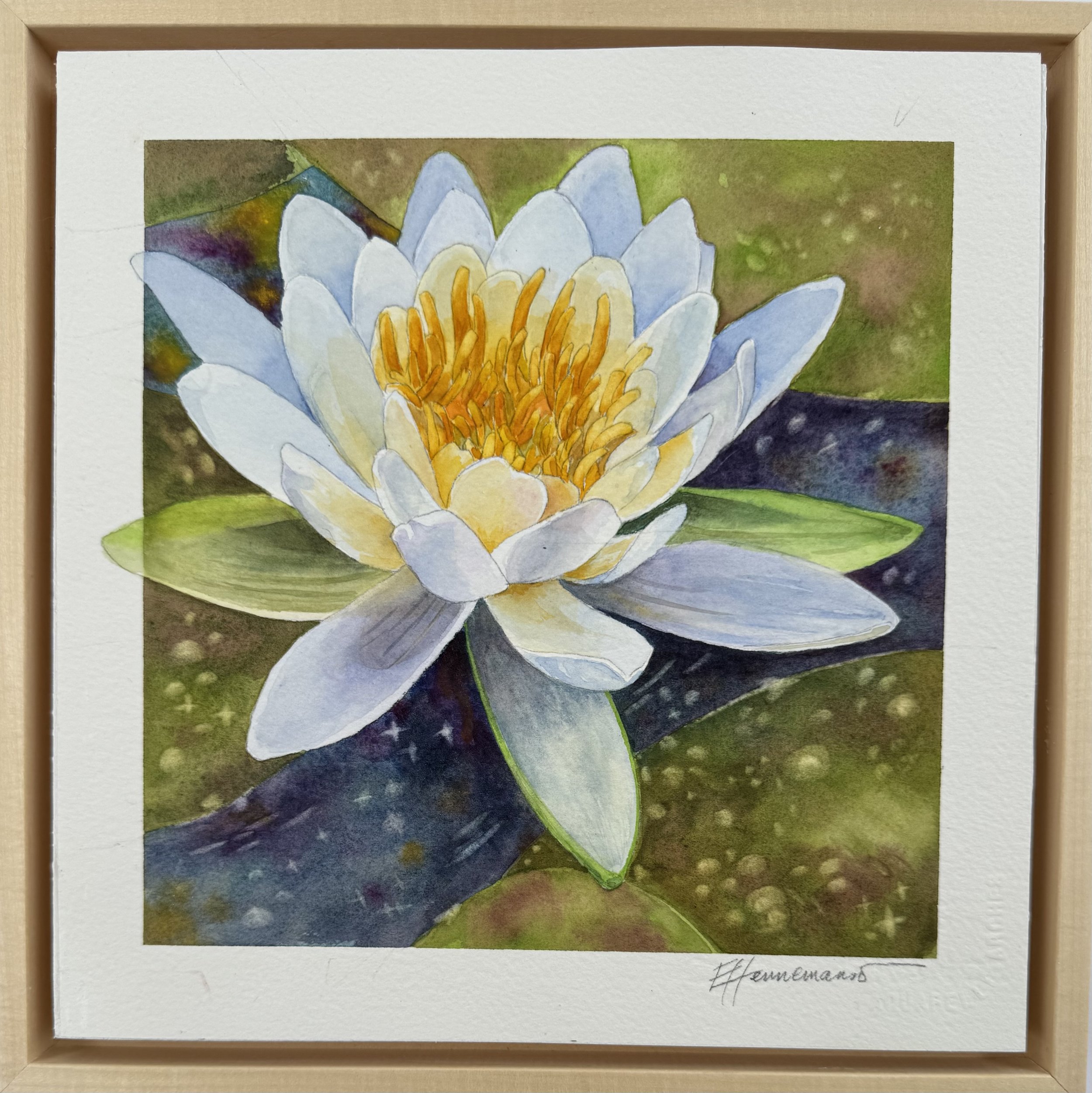 Lily 2025 (2) SOLD