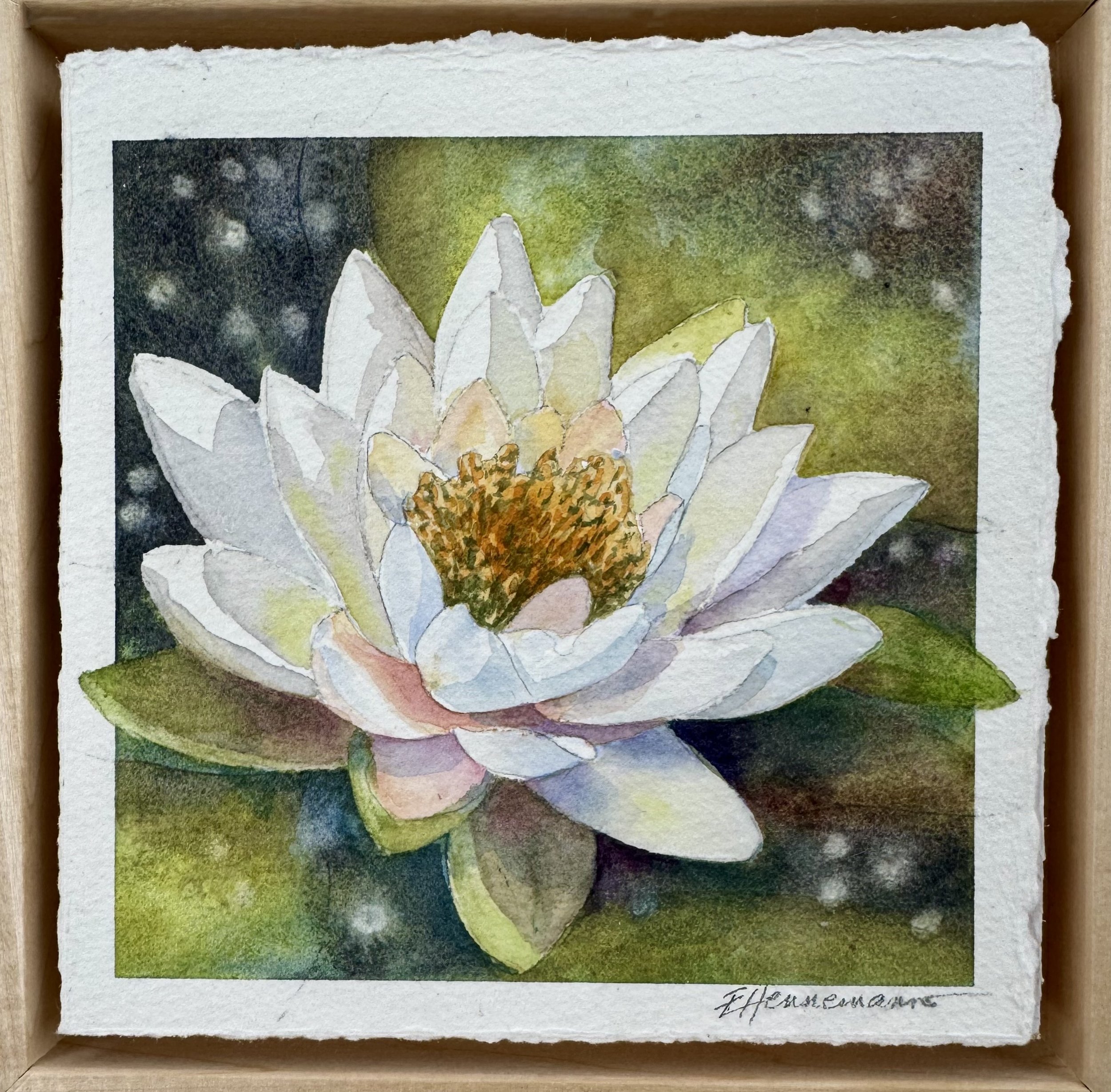 Lily 2025 - SOLD