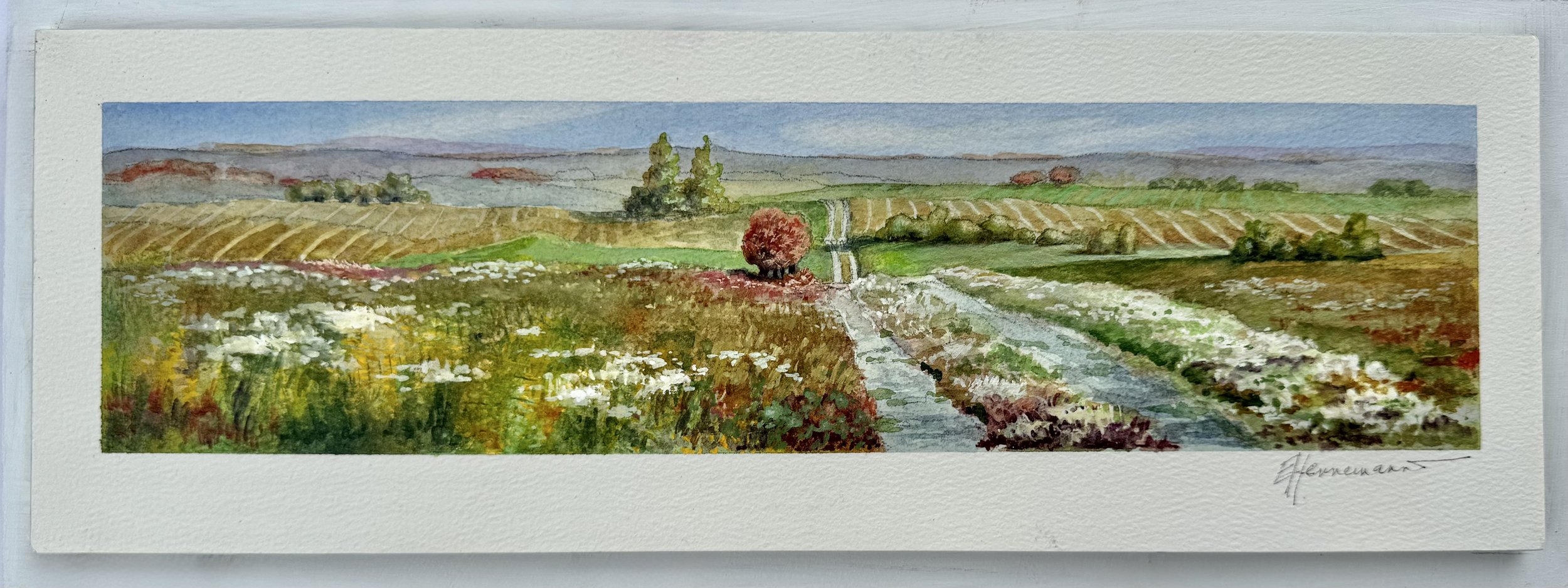 Take a Walk in the Country 2025