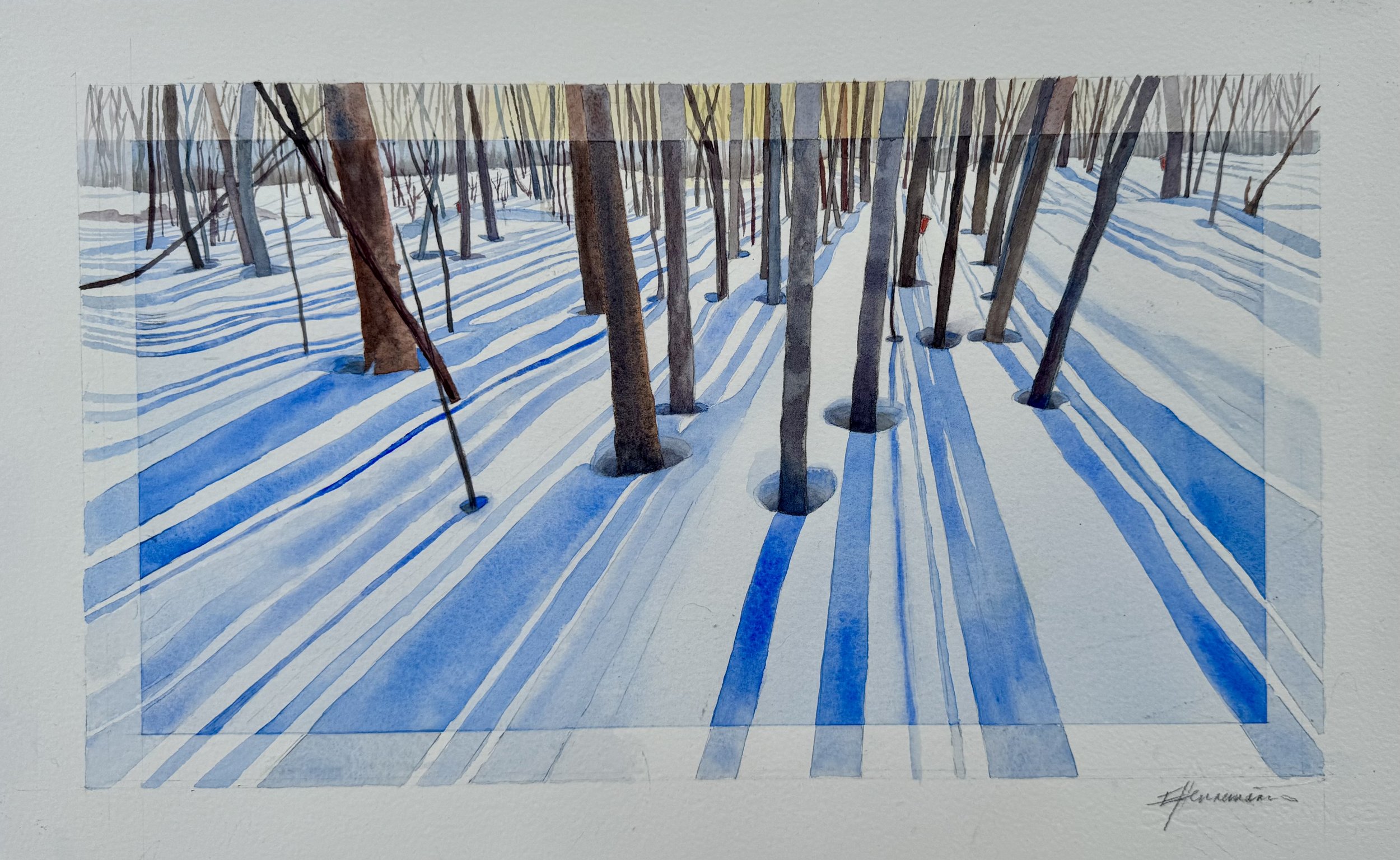 Trees and Shadows 2025 SOLD