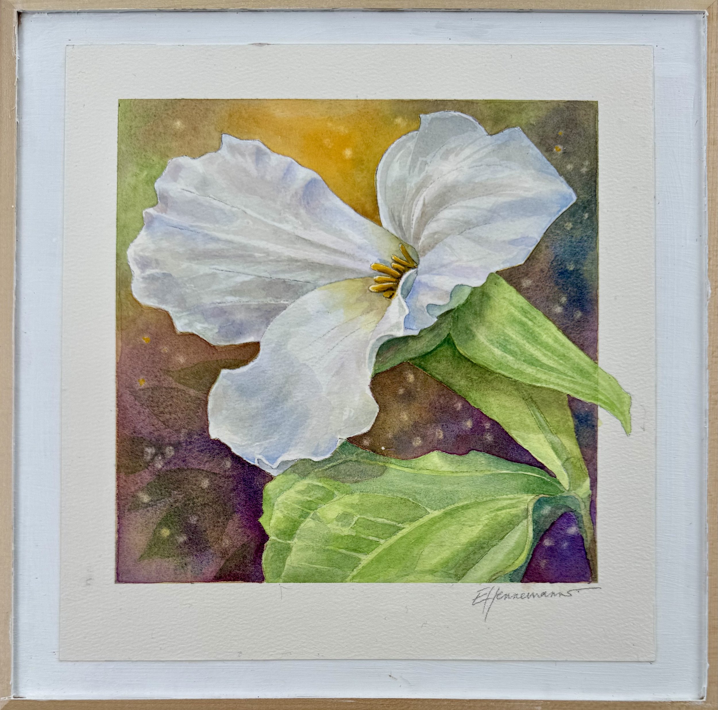 Trillium 2025 SOLD