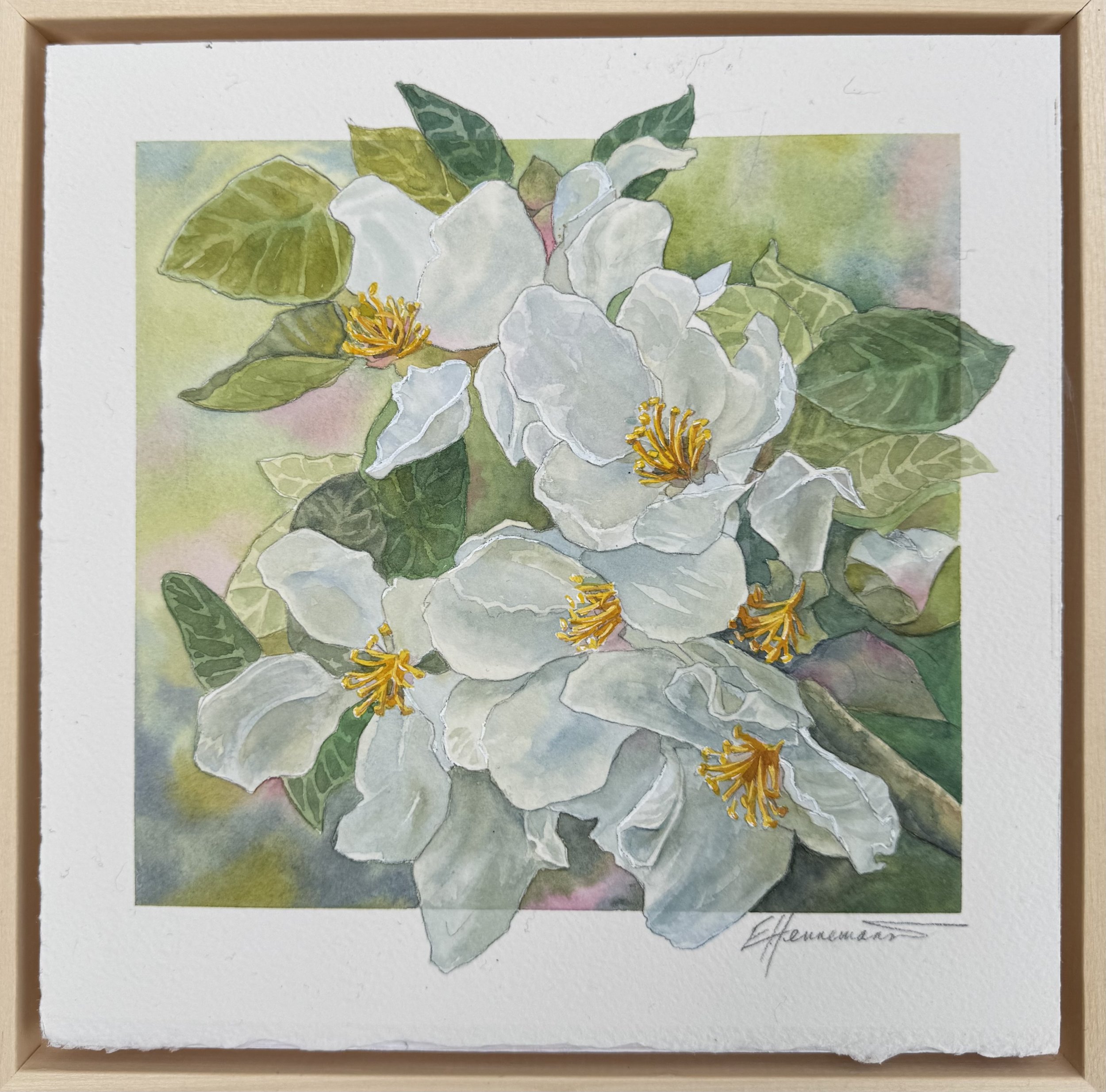 White Apple Blossoms 2025 / 10” x 10” Watercolour, 300lb Arches paper mounted and varnished on gallery wood panel with frame $325