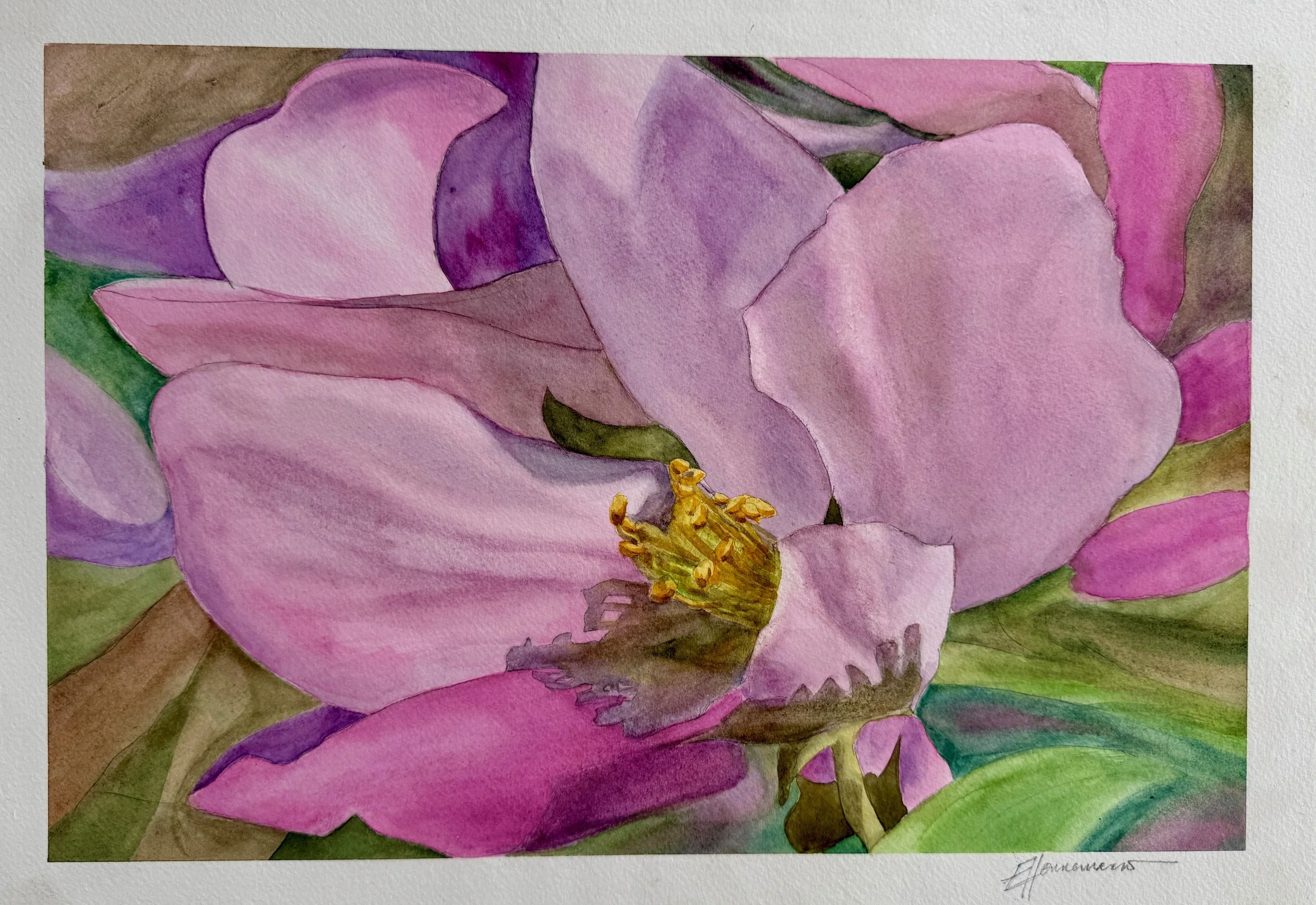 Big Pink | 11.5 x 16.25"" | watercolour | 140lb Arches mounted on ¼" hardboard