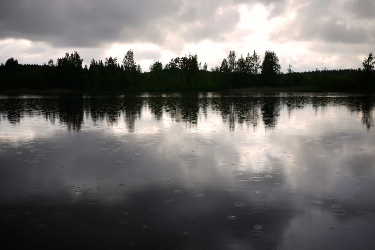 How to do foresight?