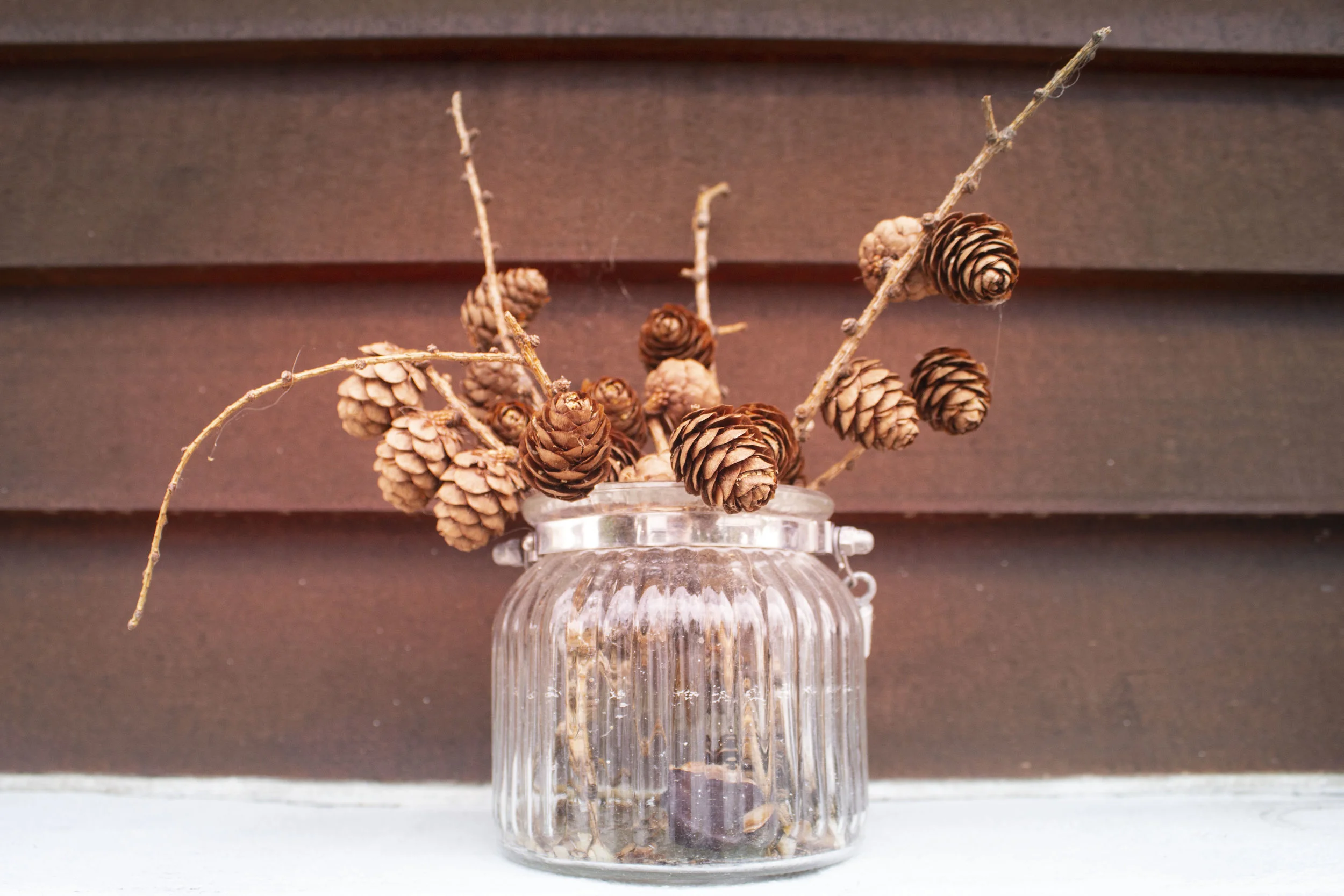 Hop Market Fringe Festival 