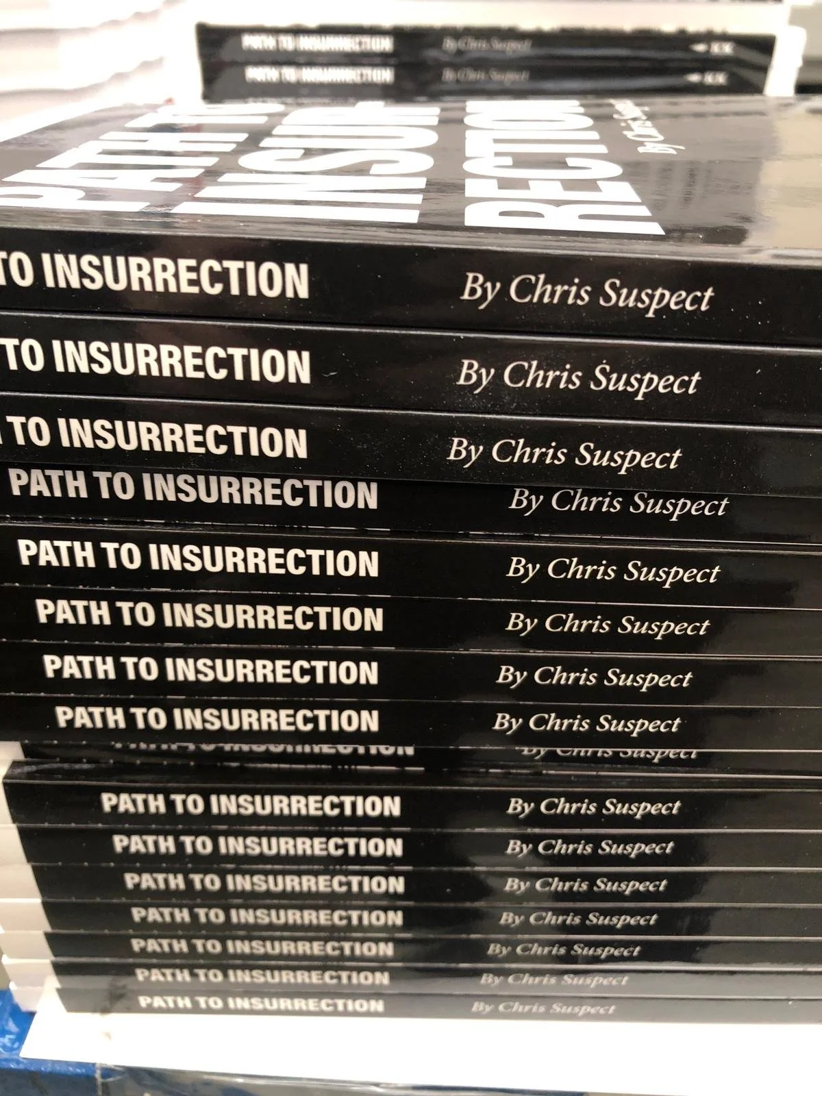 "Path to Insurrection" Exhibition Catalog for Flashback Museum, Torino, Italy