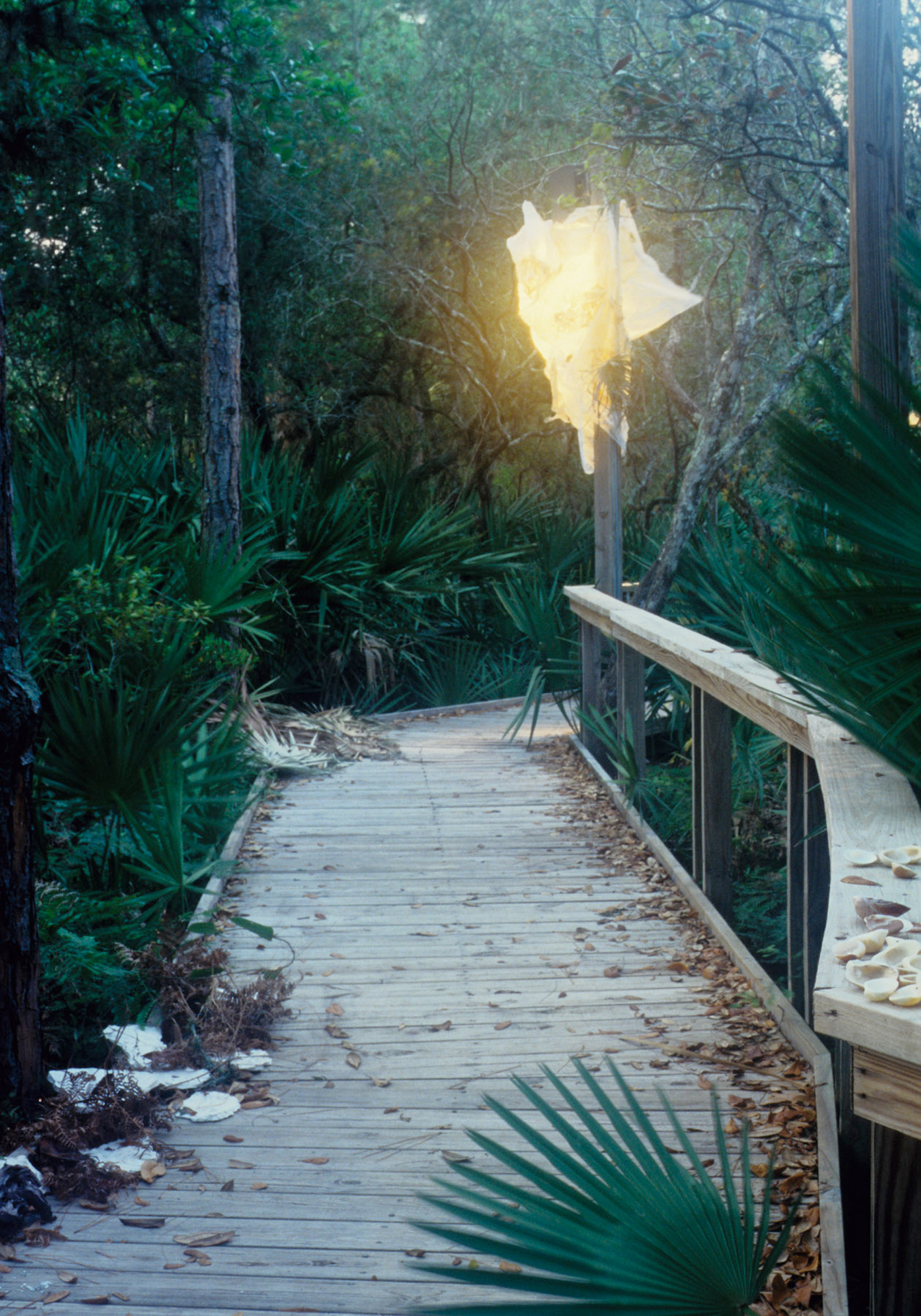   Looking for Eden , 1994 mixed-media, 120” H x 72” W x 300” D Atlantic Center for the Arts, Florida 