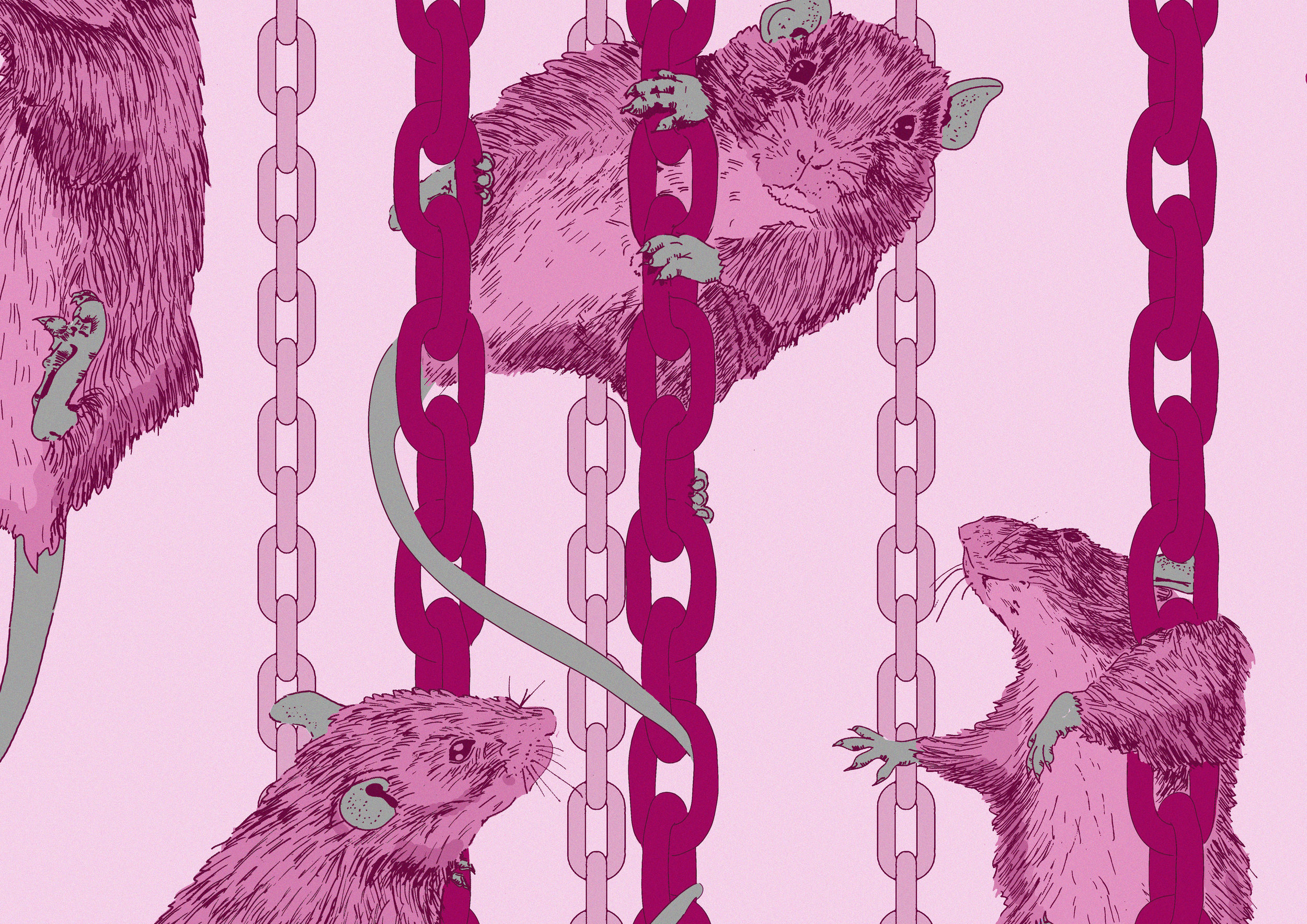 Climbing Rats - Pink