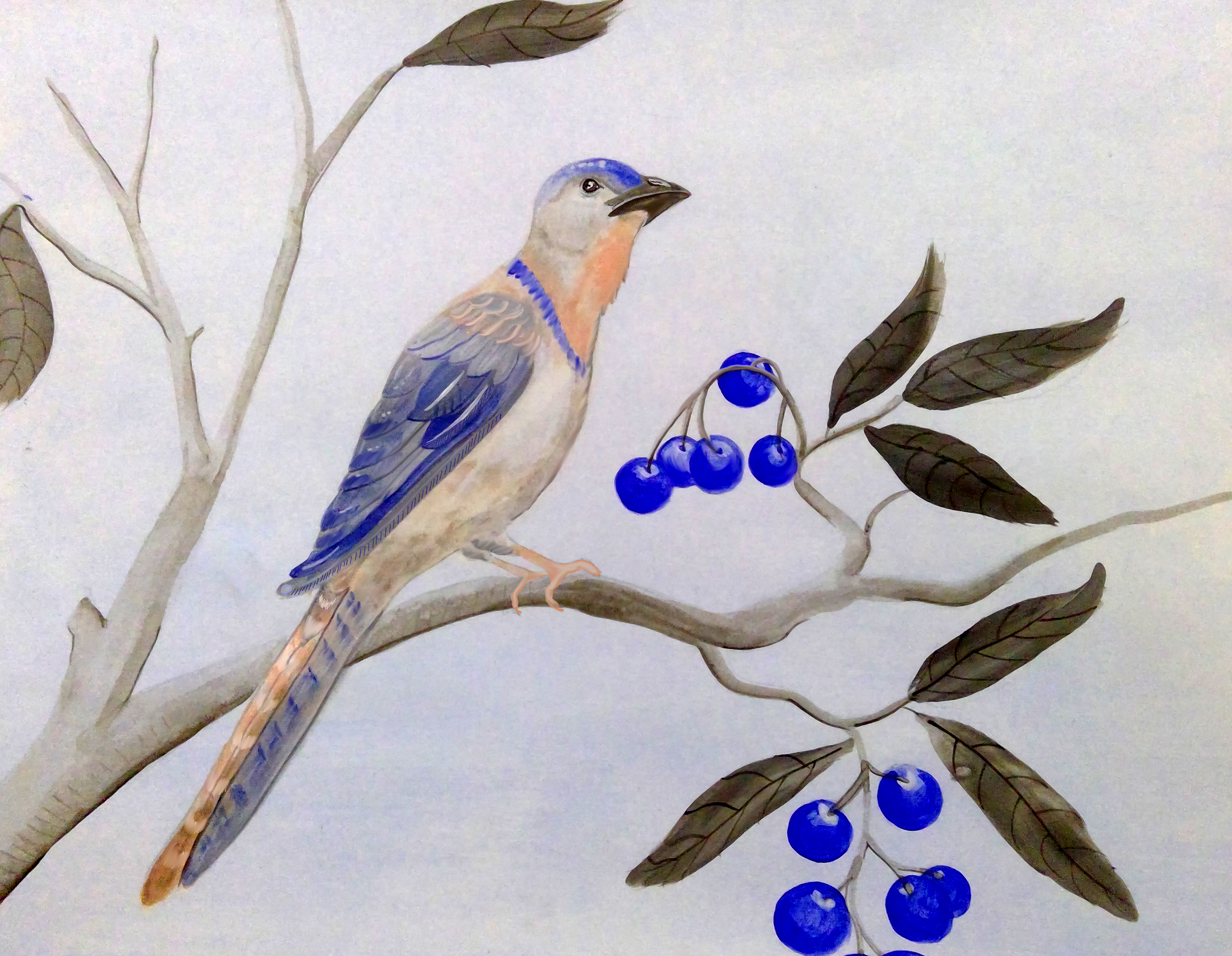 blue and peach bird and berrys.jpg