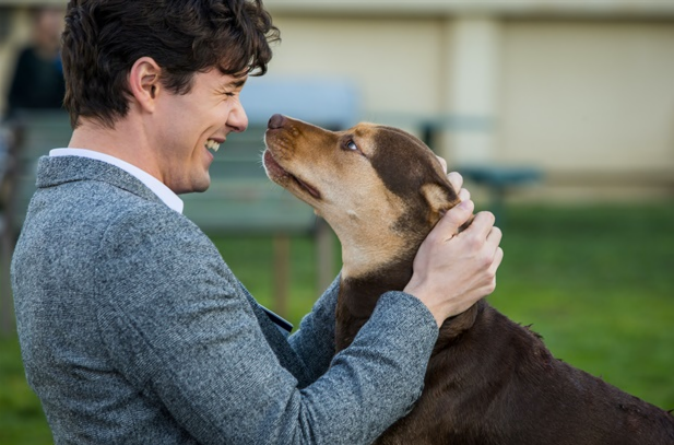A Dog's Way Home - A Sweet but Forgettable Family Film